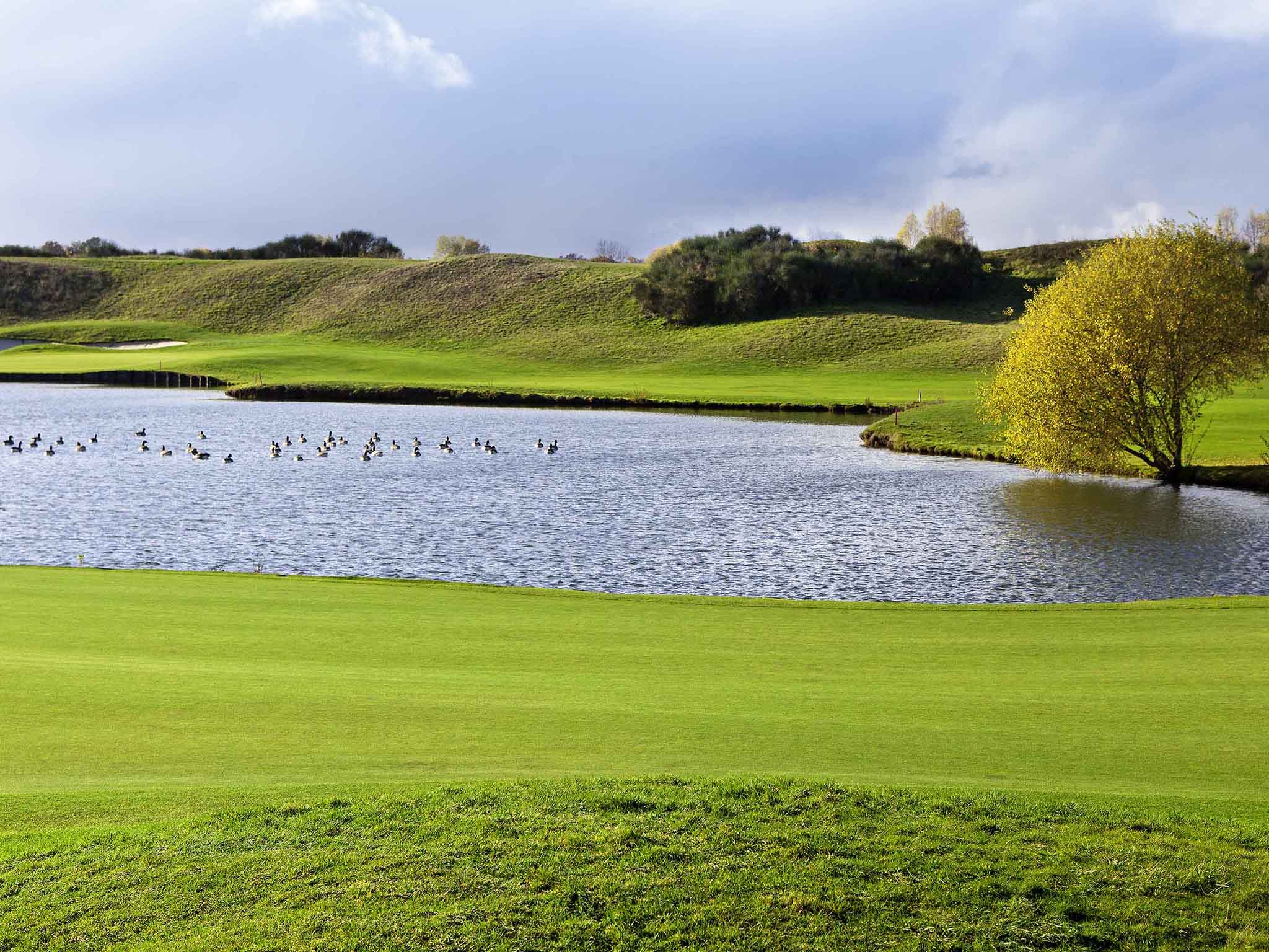 Foto - Novotel Senart Golf De Greenparc