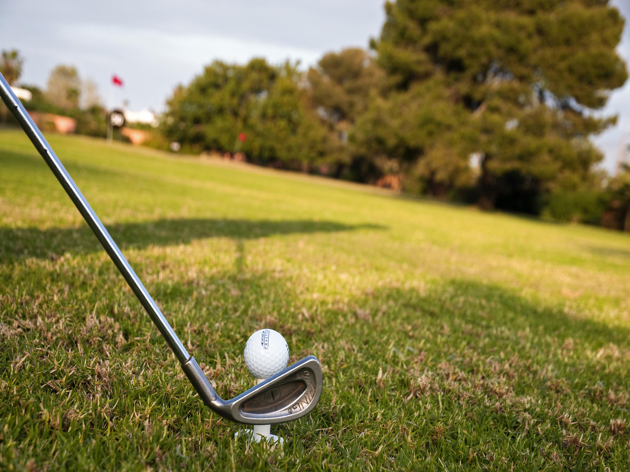 Photo - Mercure Tours Sud