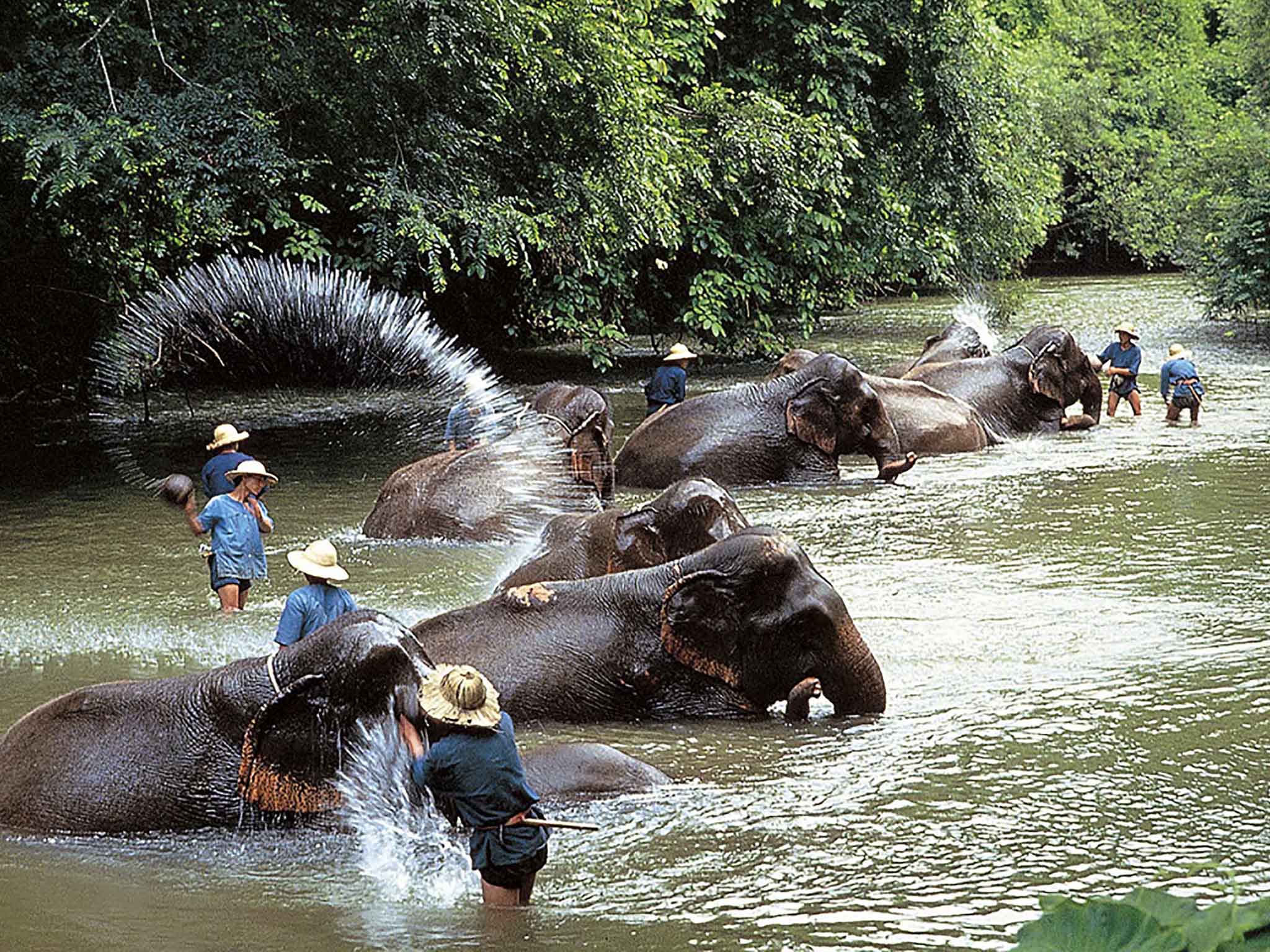 Photo - Mercure Chiang Mai