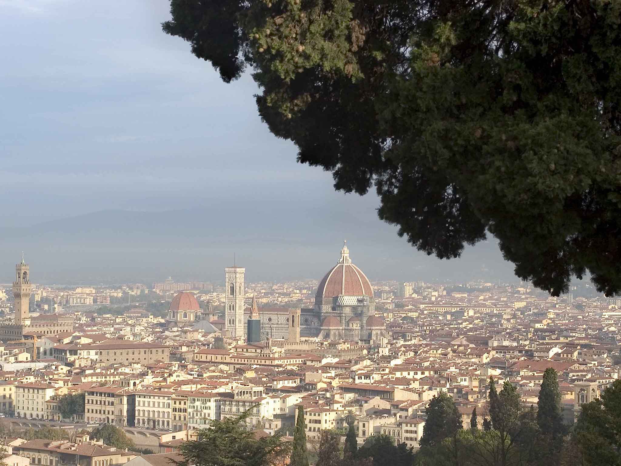 Foto - Novotel Firenze Nord Aeroporto