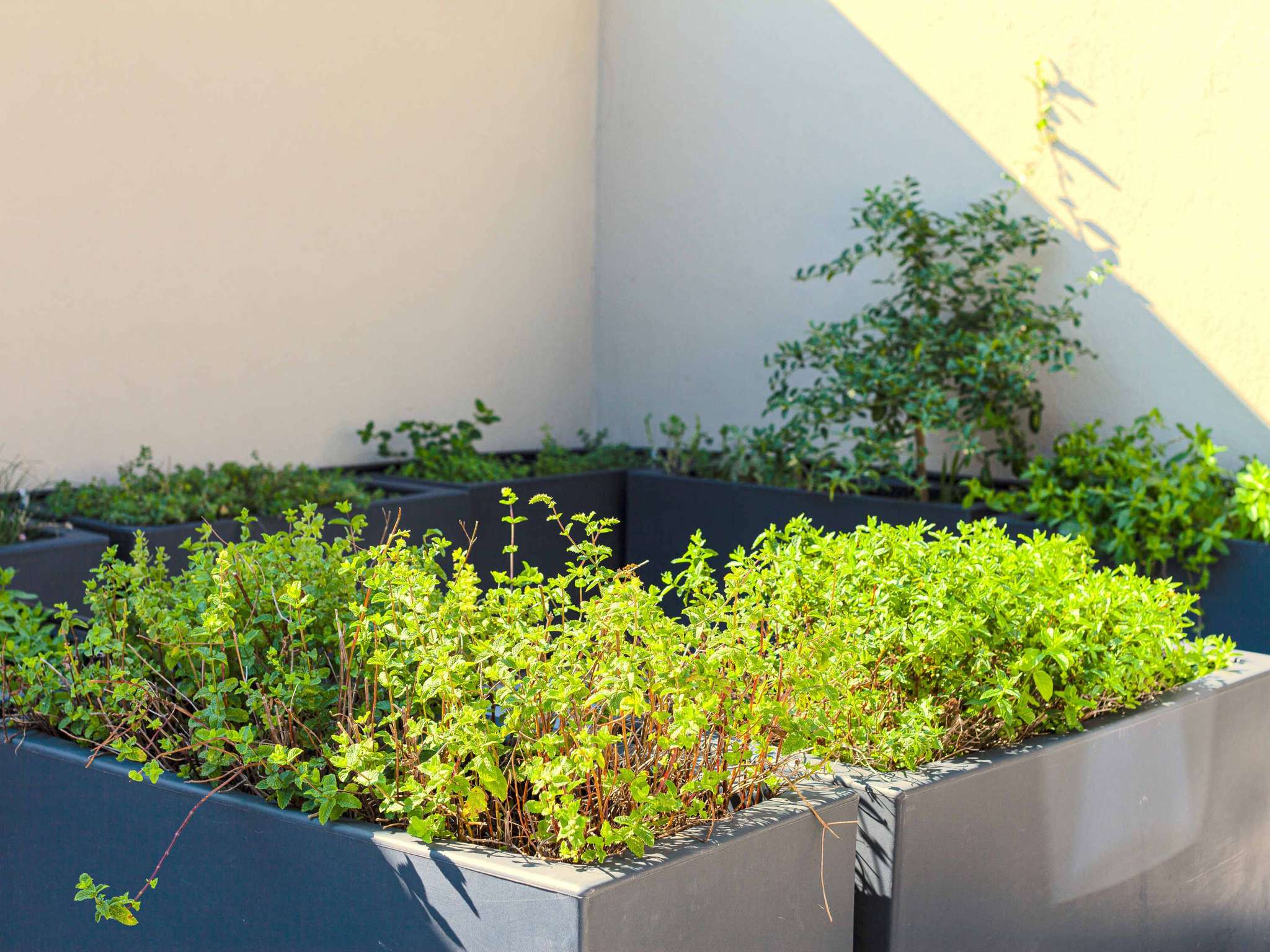 Photo - Mercure Villa Romanazzi Carducci Bari