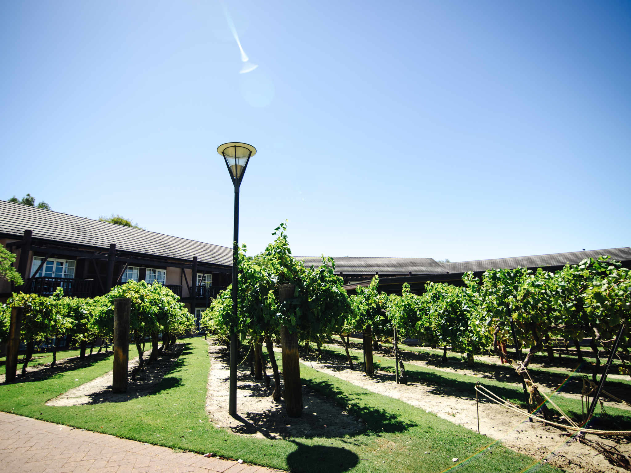 Novotel Vines Resort Swan Valley Accorhotels