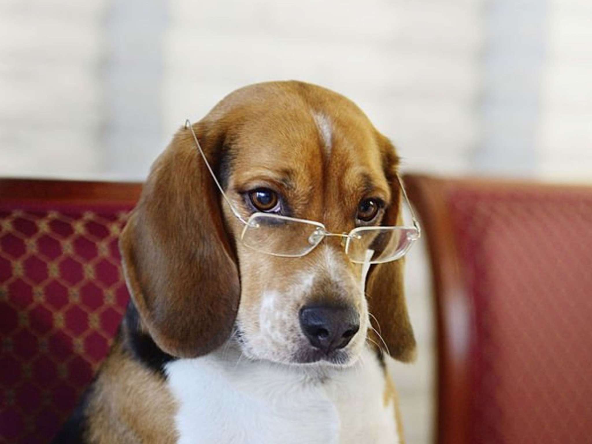 Foto - ibis Styles Evry Courcouronnes Hotel and Events