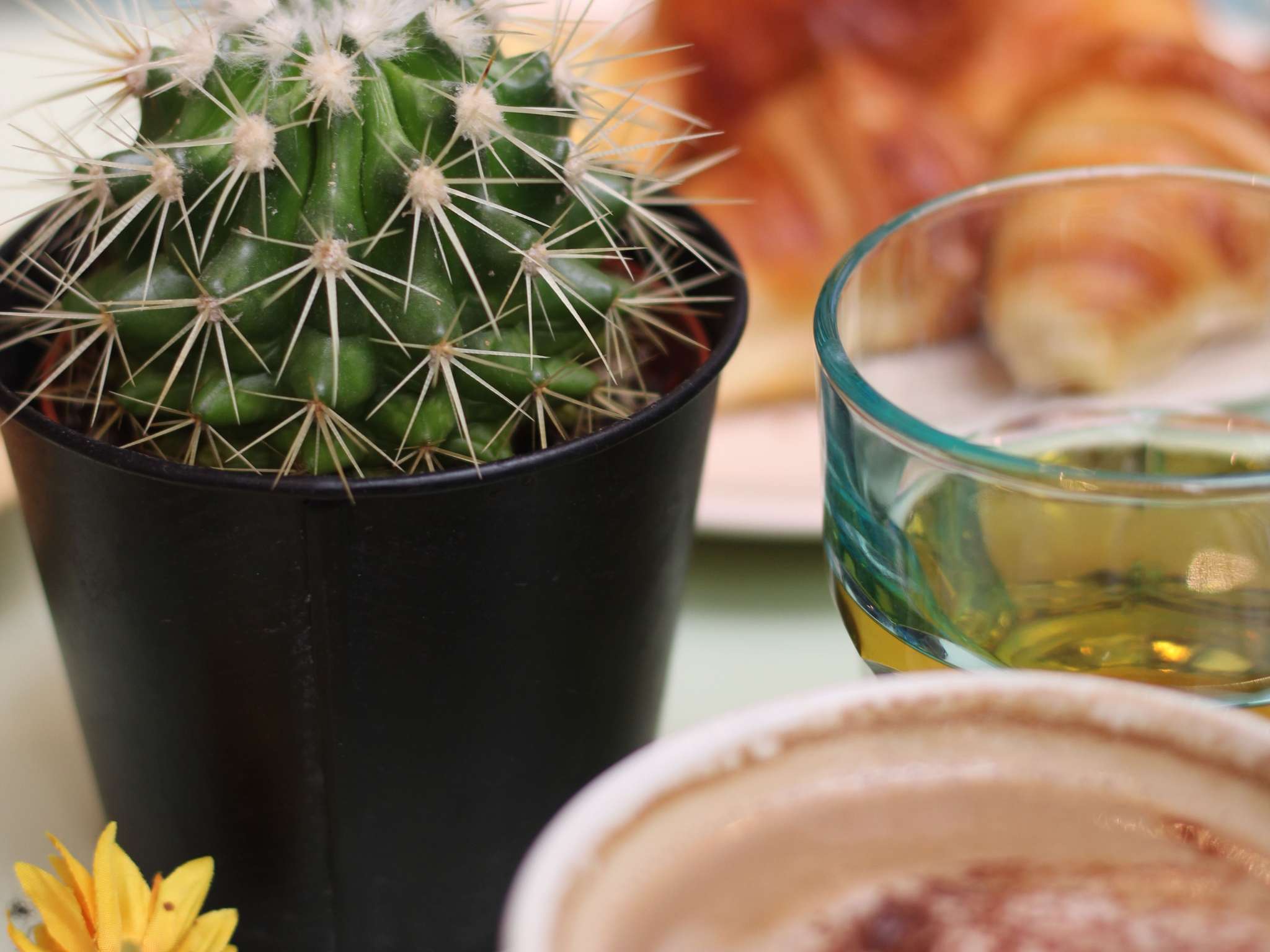 Foto - ibis Styles Evry Courcouronnes Hotel and Events