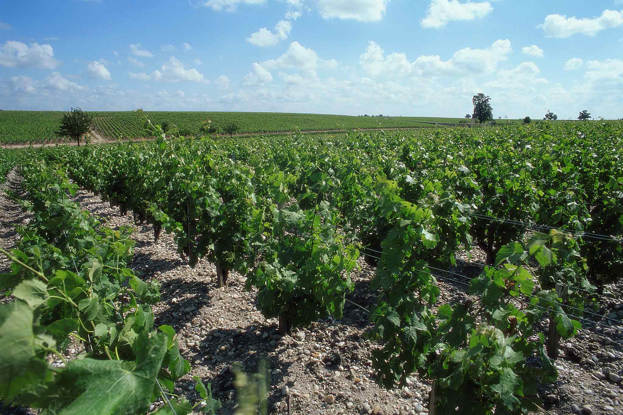 Photo - ibis Styles Bordeaux Sud