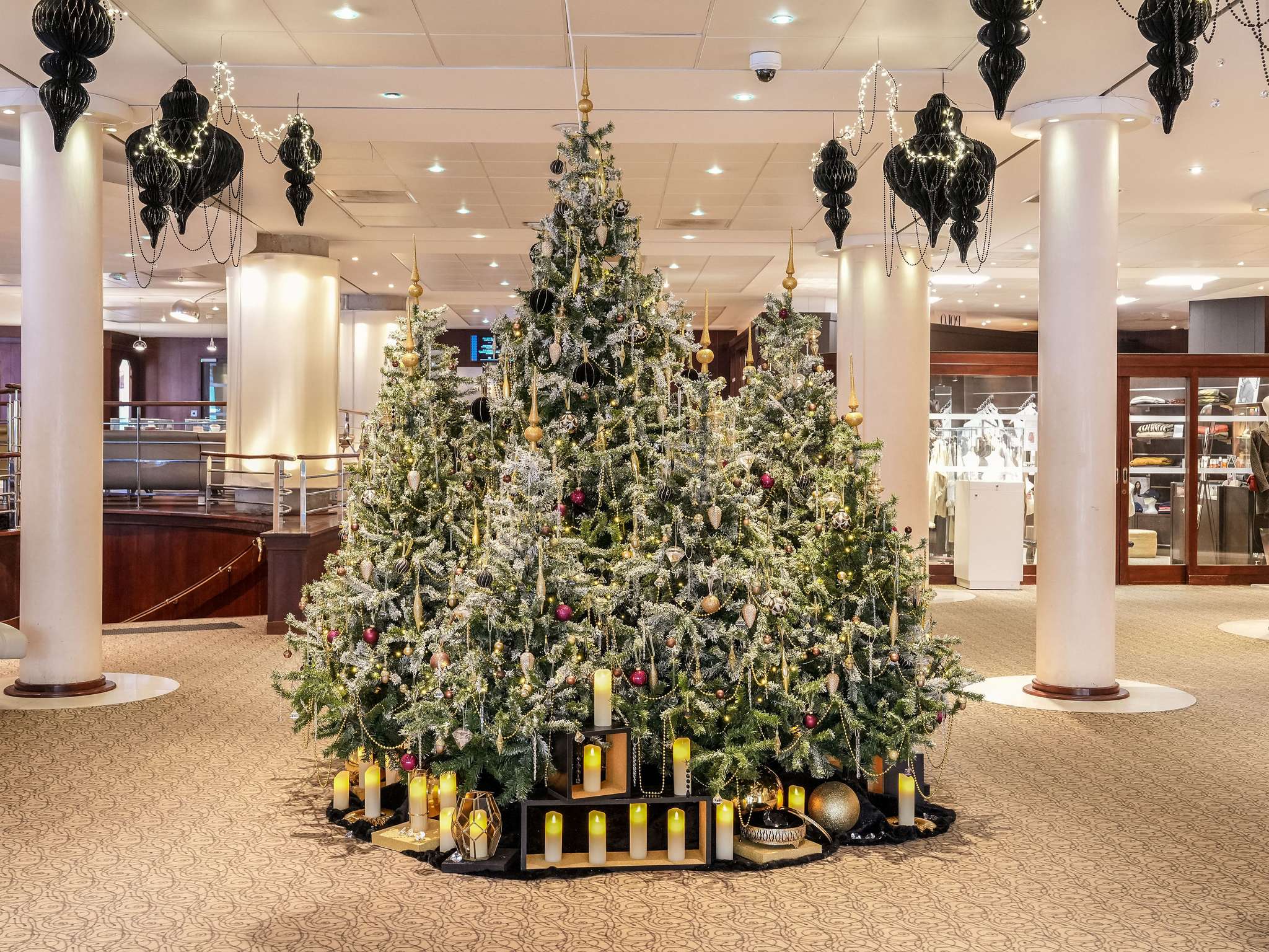 Photo - Sofitel Biarritz Le Miramar Thalassa