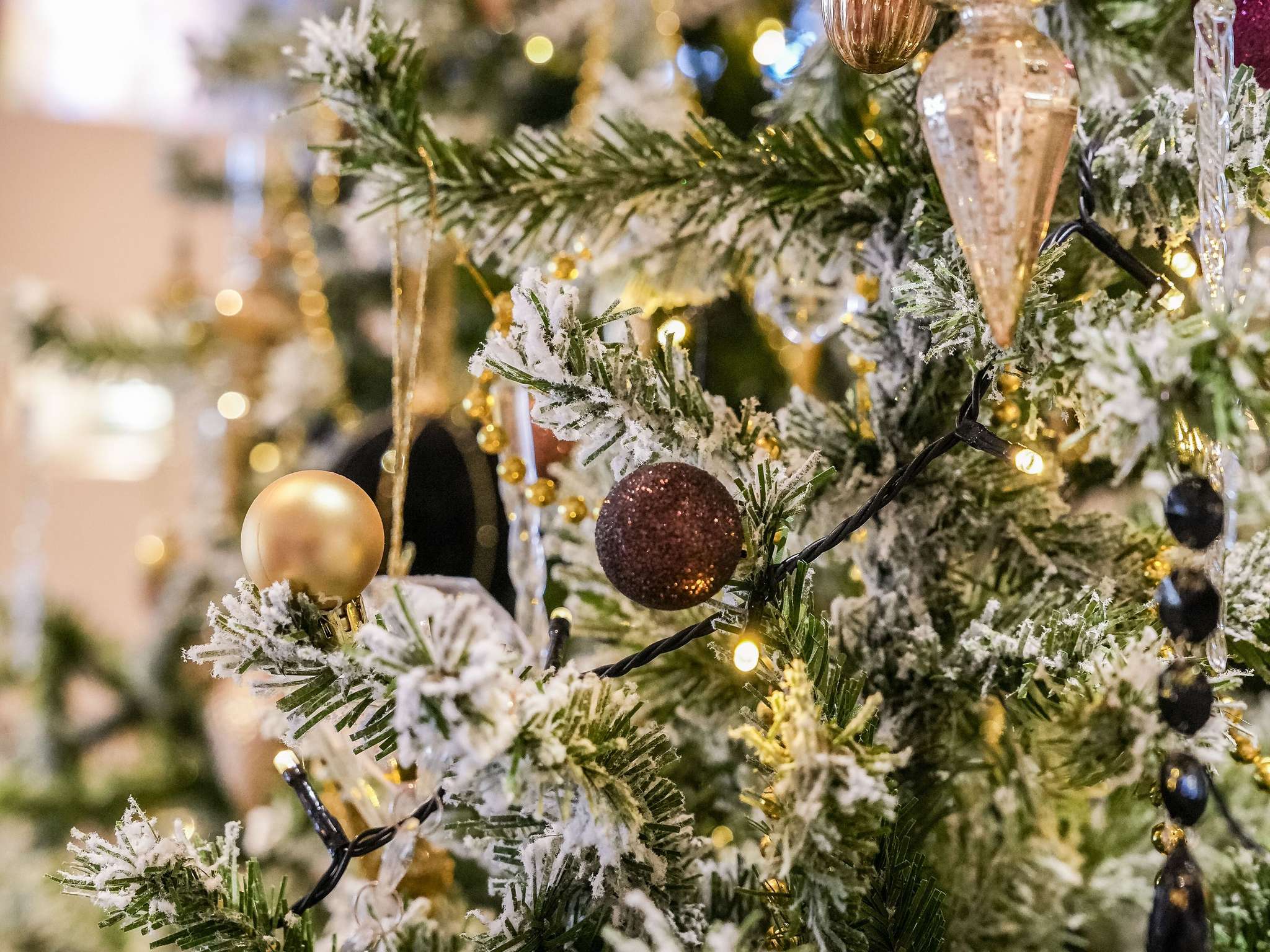 Photo - Sofitel Biarritz Le Miramar Thalassa