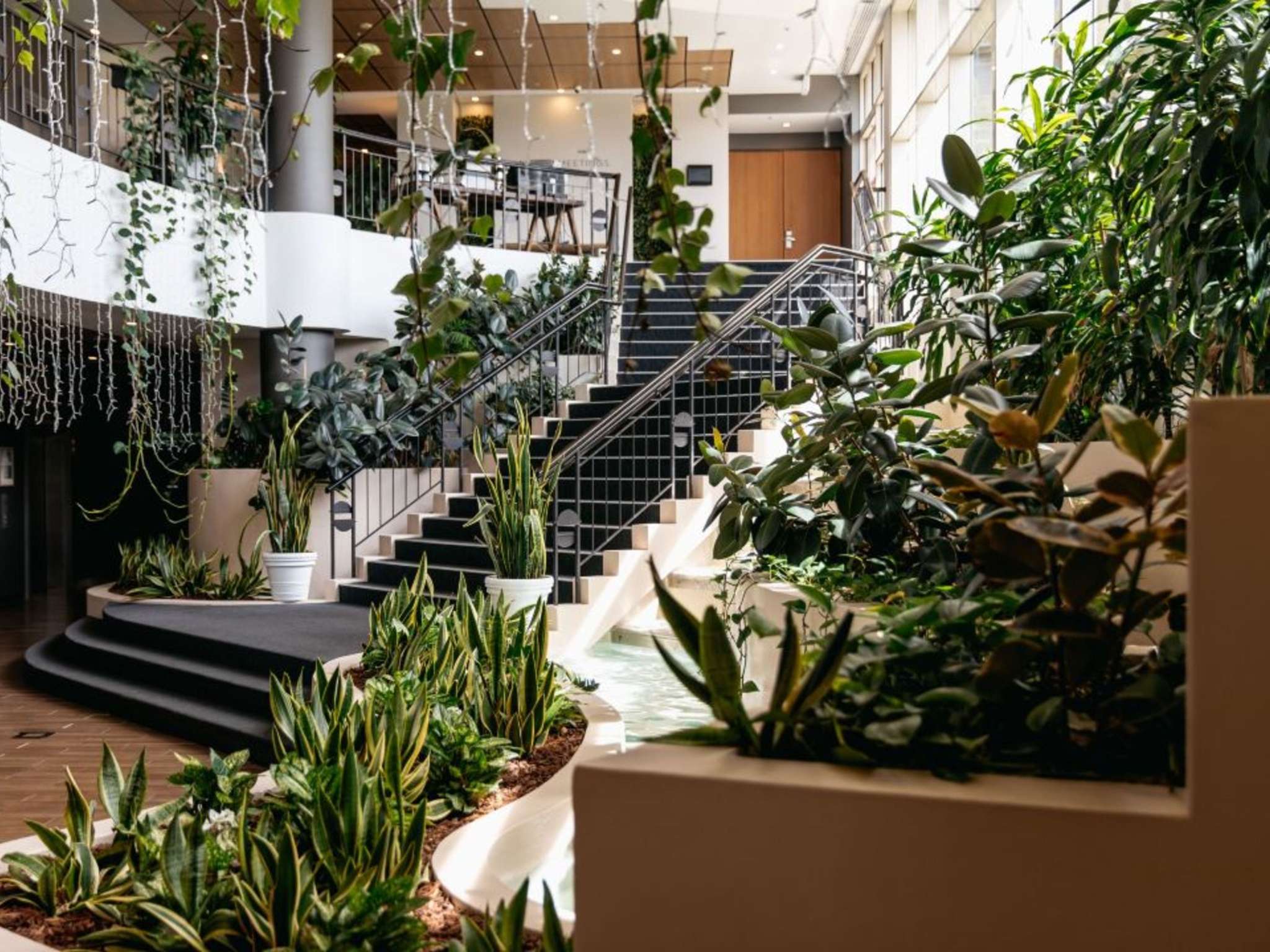 Foto - Mercure Sydney Parramatta