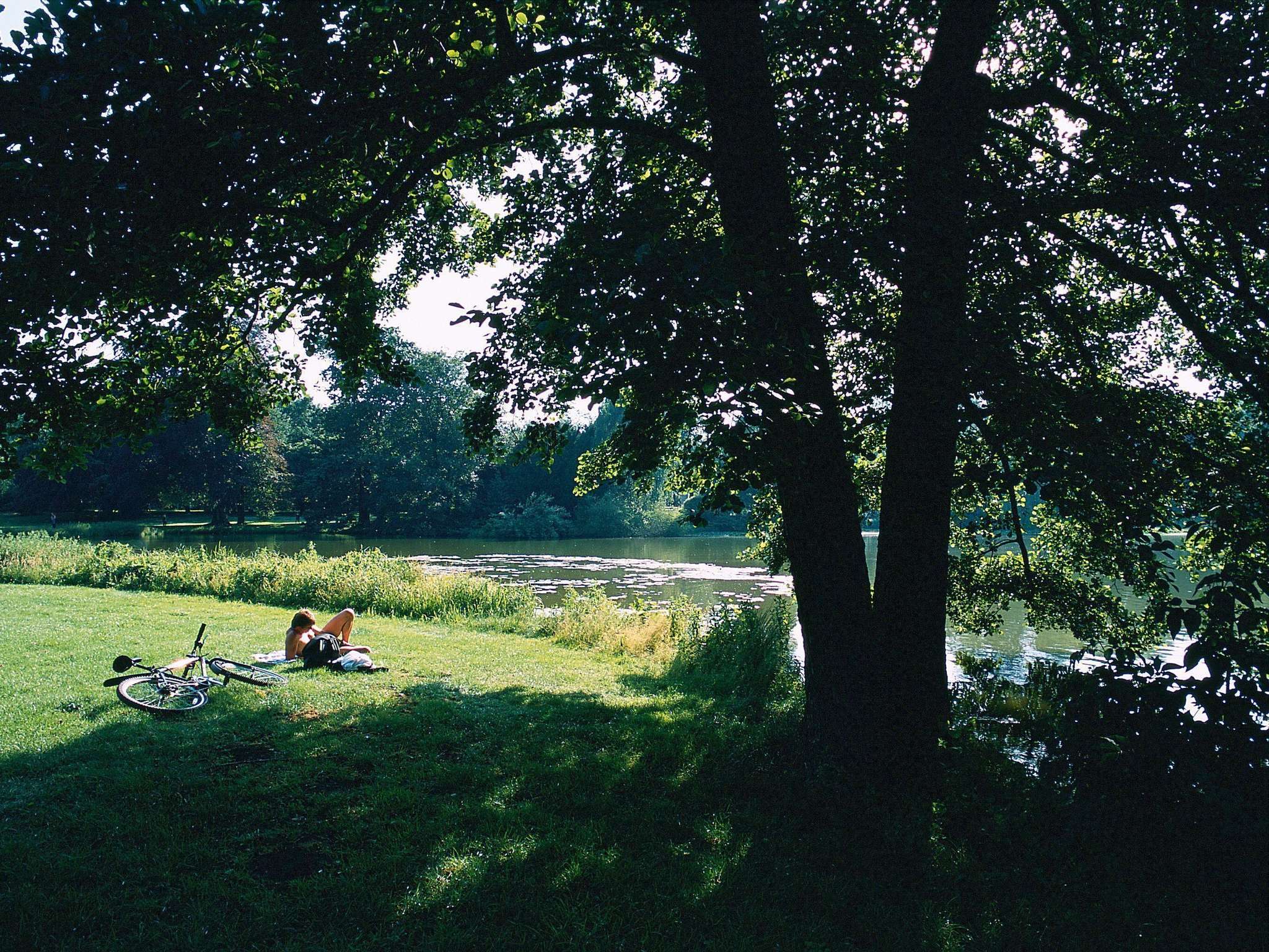 Foto - Mercure Hotel am Entenfang Hannover