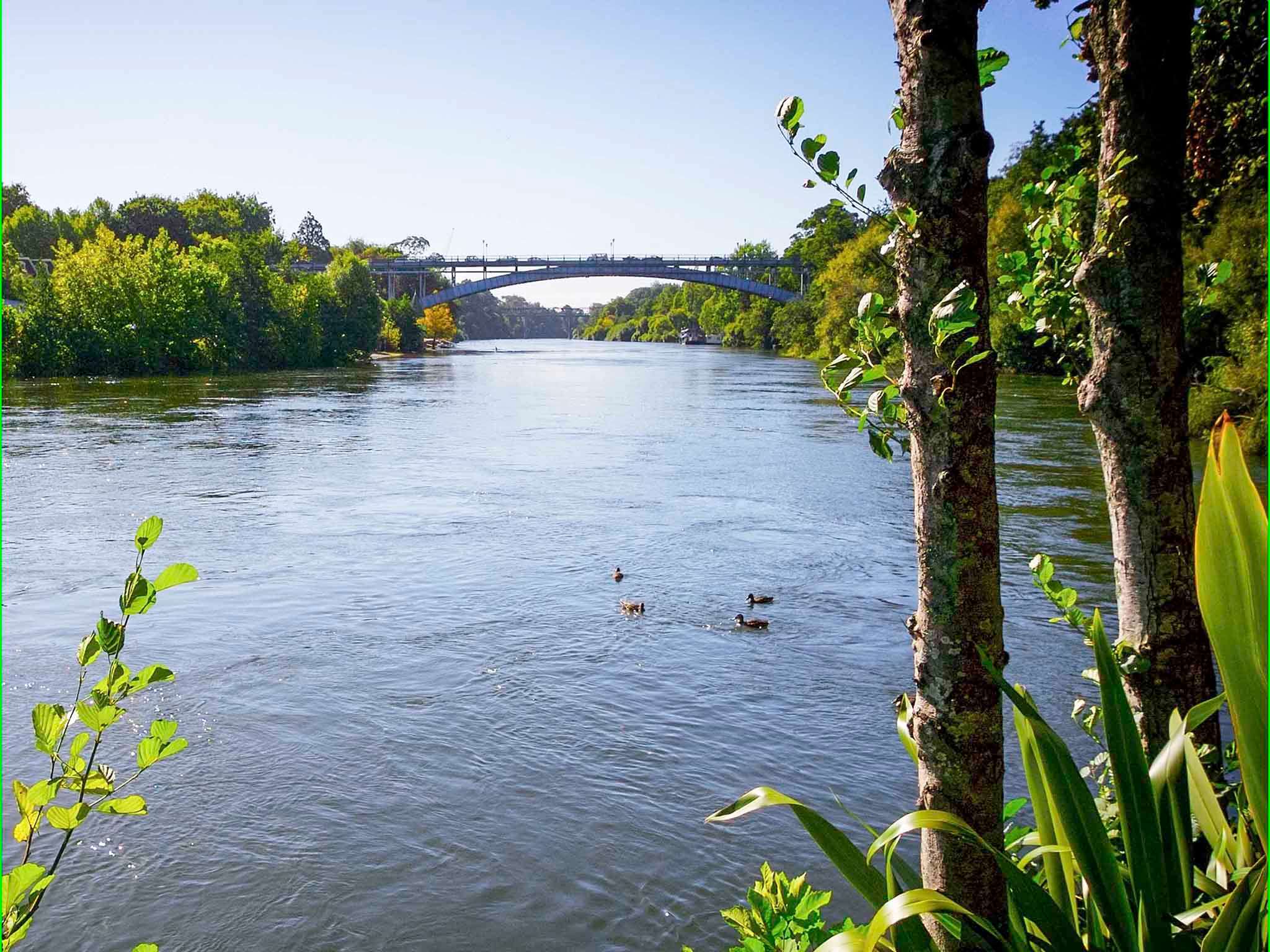 Foto - Novotel Tainui Hamilton