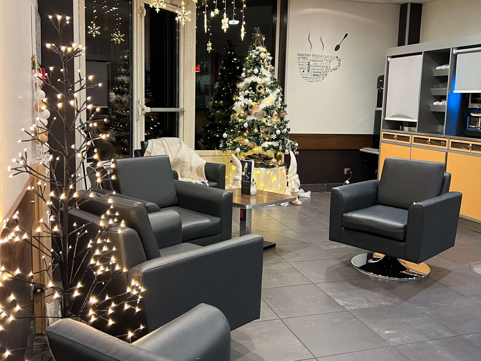 Foto - IBIS Lyon Sud Chasse Sur Rhône