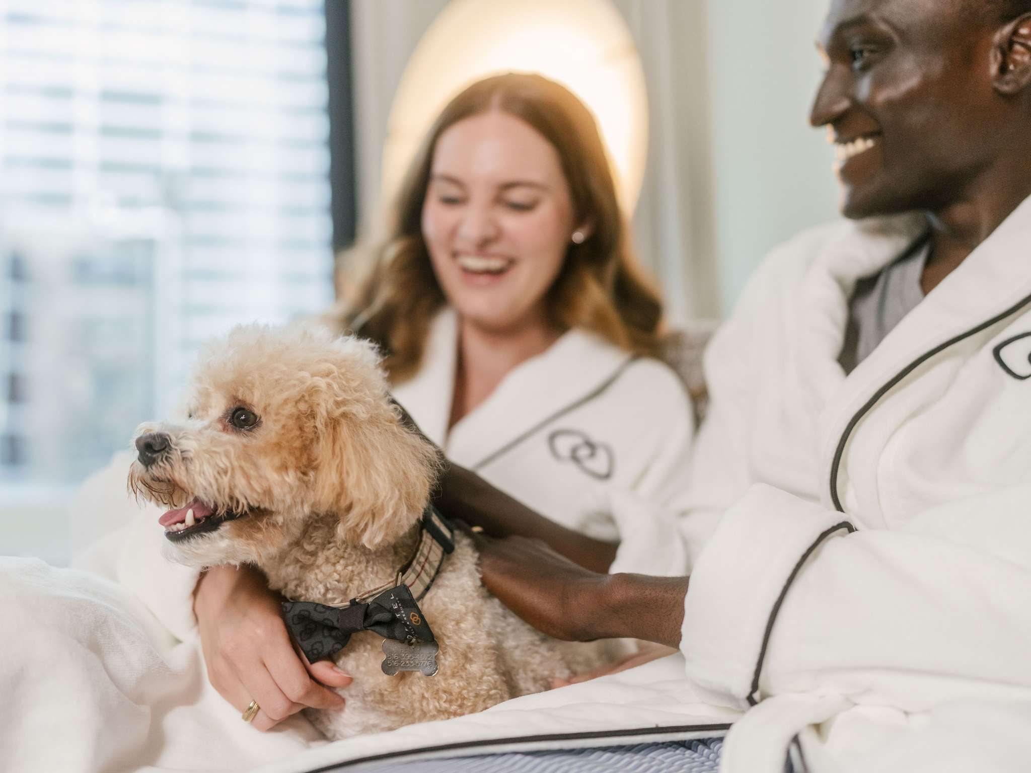 Foto - Sofitel New York