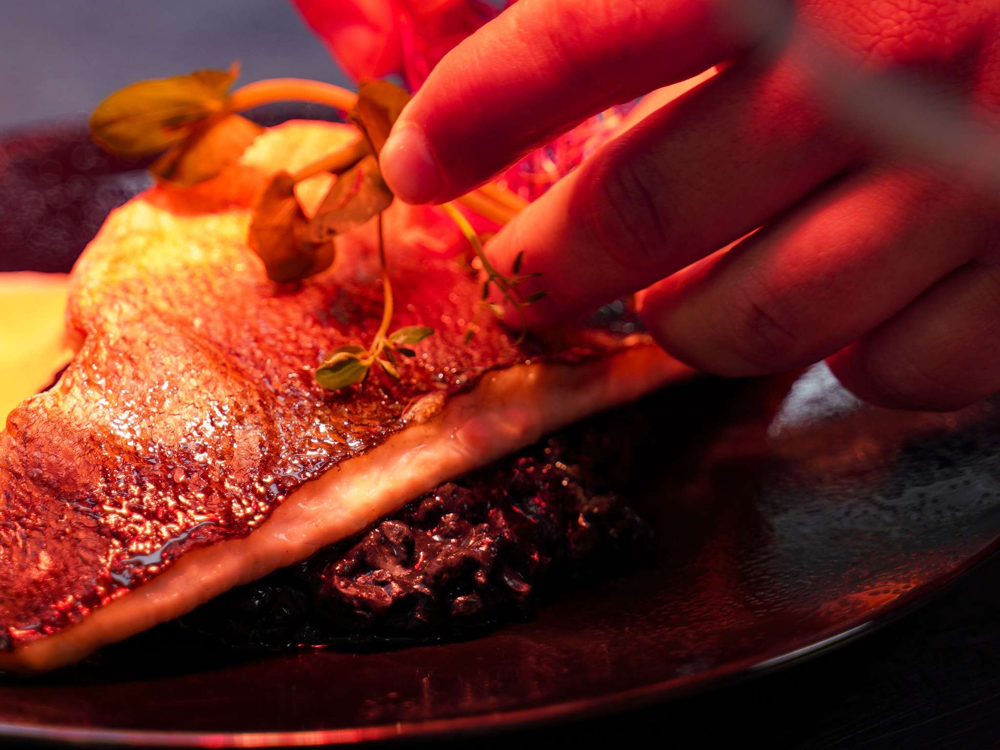 Photo - Novotel La Grande Motte Golf