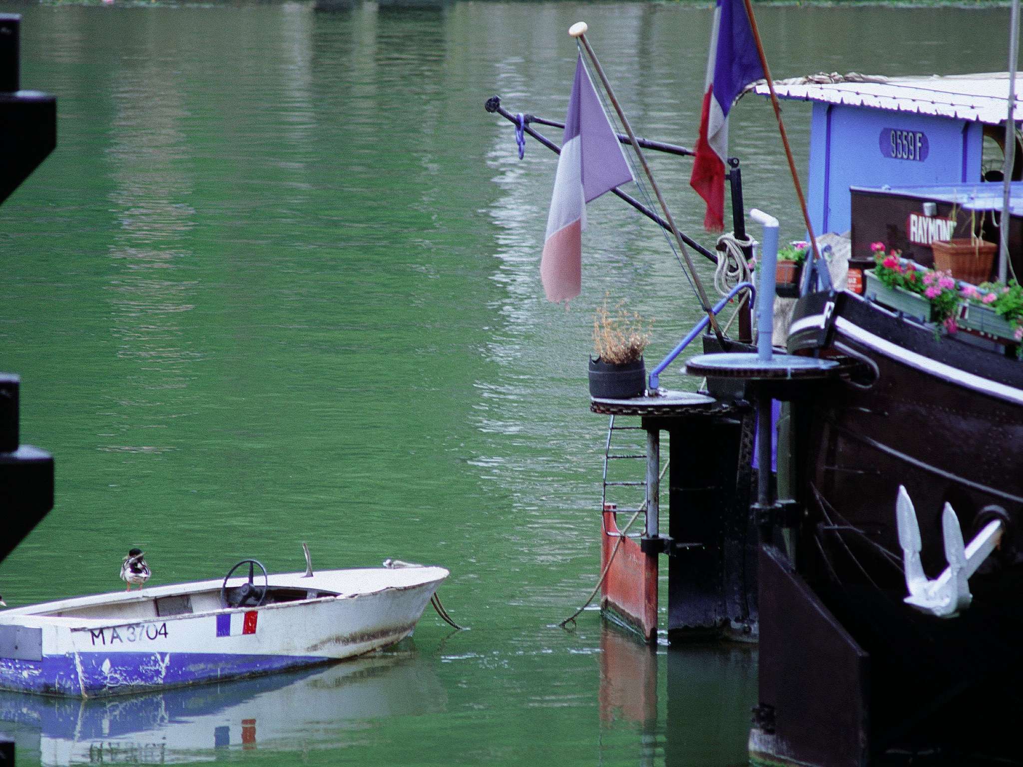 Photo - hotelF1 Lyon Sud Oullins Rénové