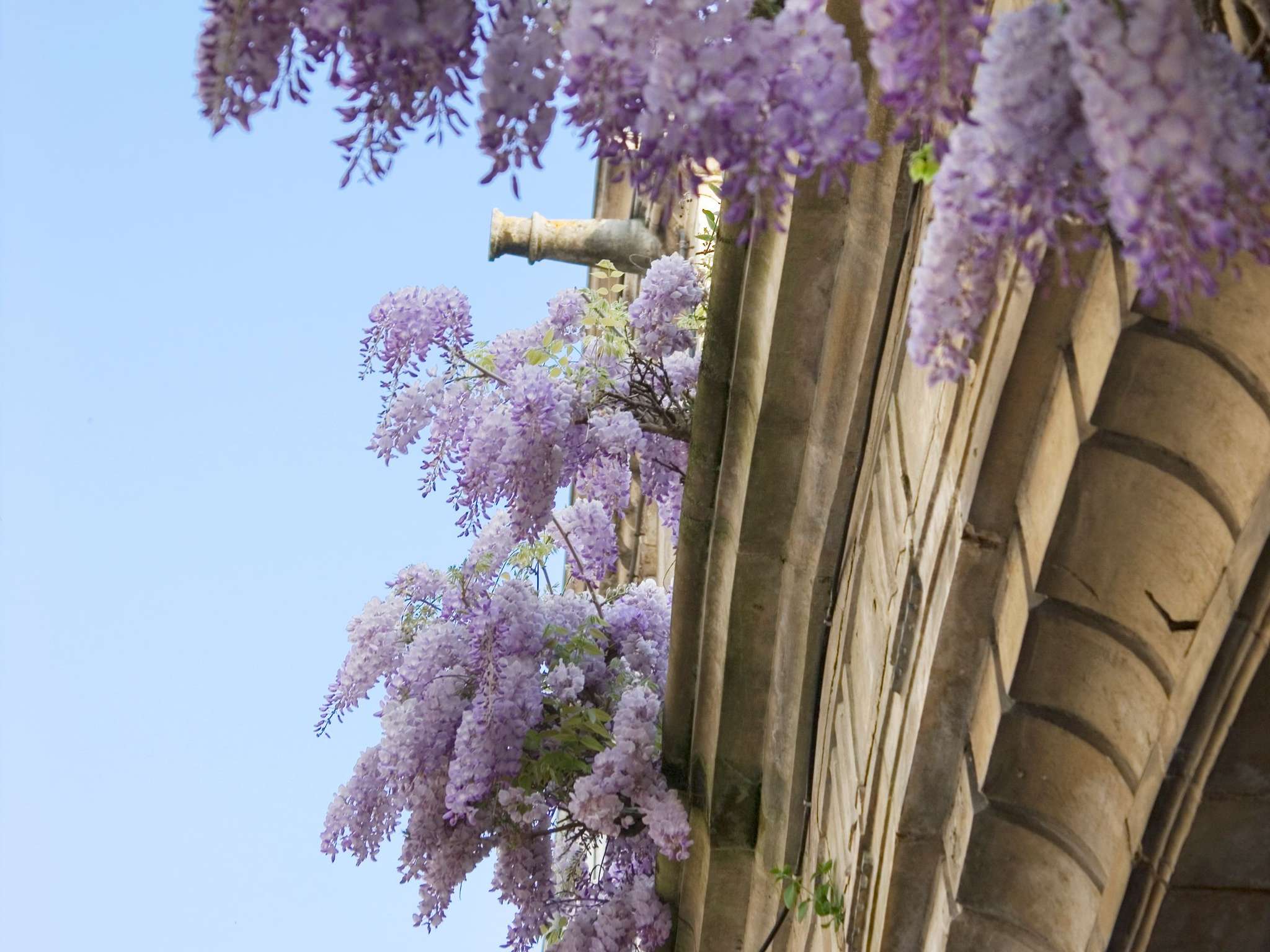 Foto - hotelF1 La Rochelle Angoulins "Rénové"