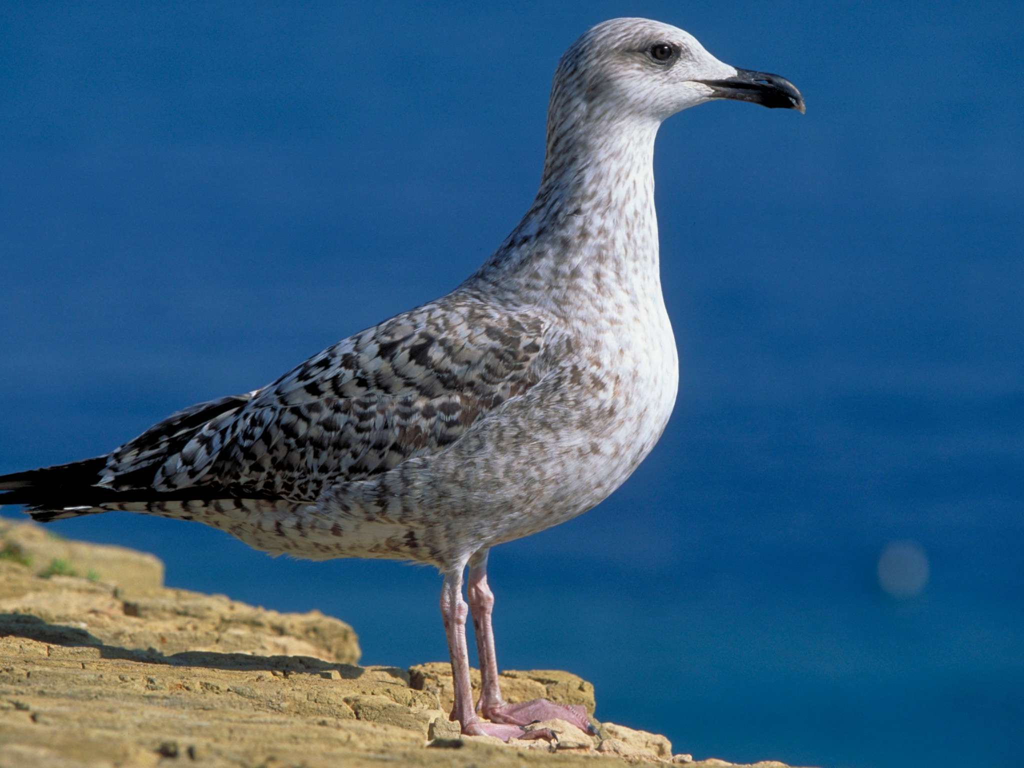 Foto - hotelF1 Antibes Sophia Antipolis