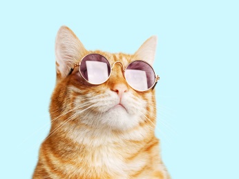 Foto - hotelF1 Metz Centre Devant les Ponts