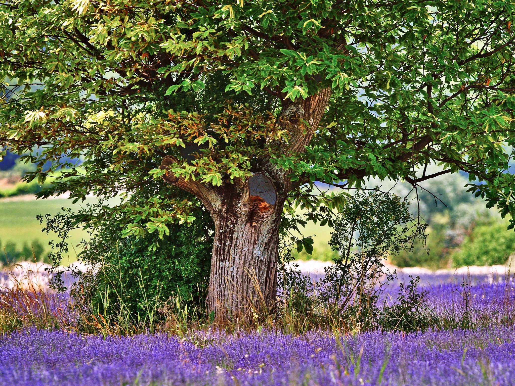 Foto - hotelF1 Orange Centre Echangeur A7 A9