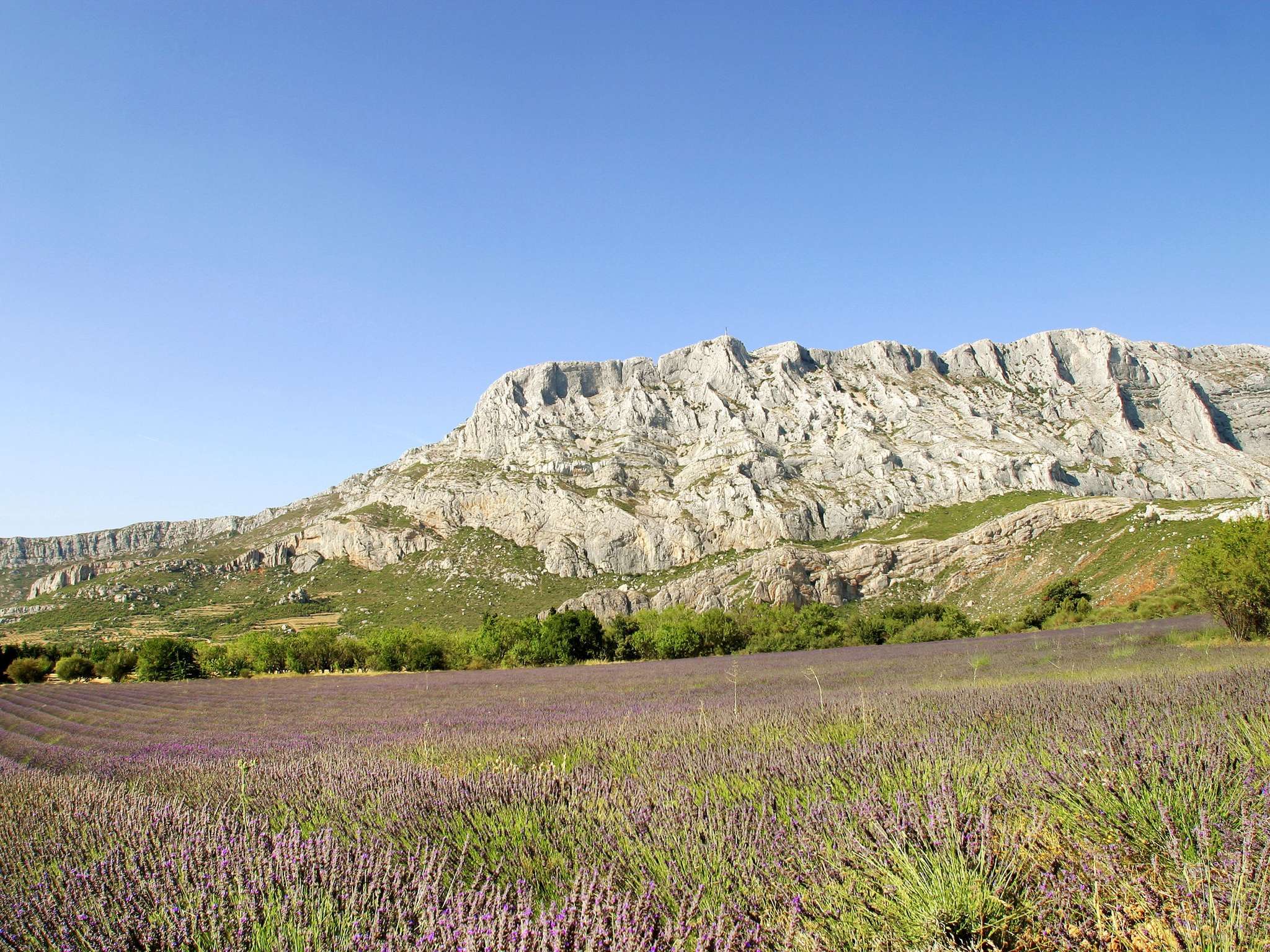 Foto - hotelF1 Orange Centre Echangeur A7 A9