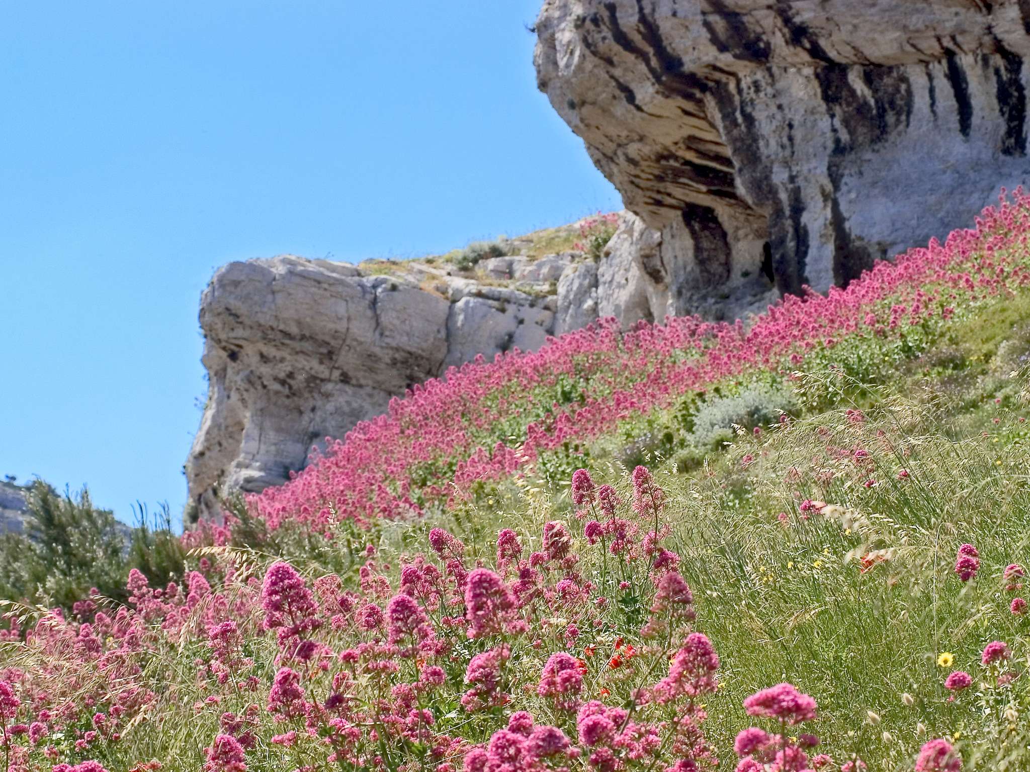 Photo - HotelF1 Marseille Provence