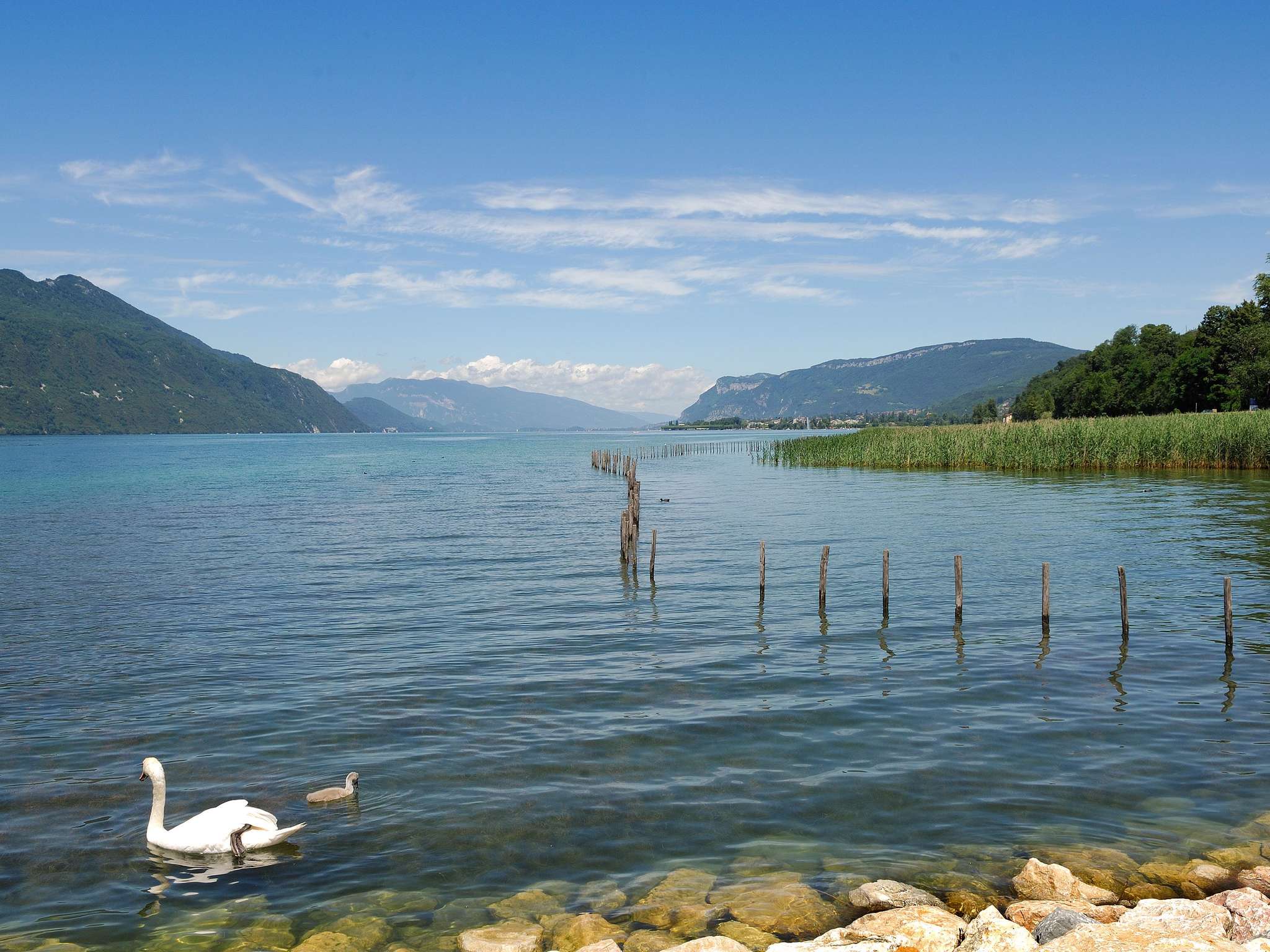 Foto - hotelF1 Thonon Les Bains Est