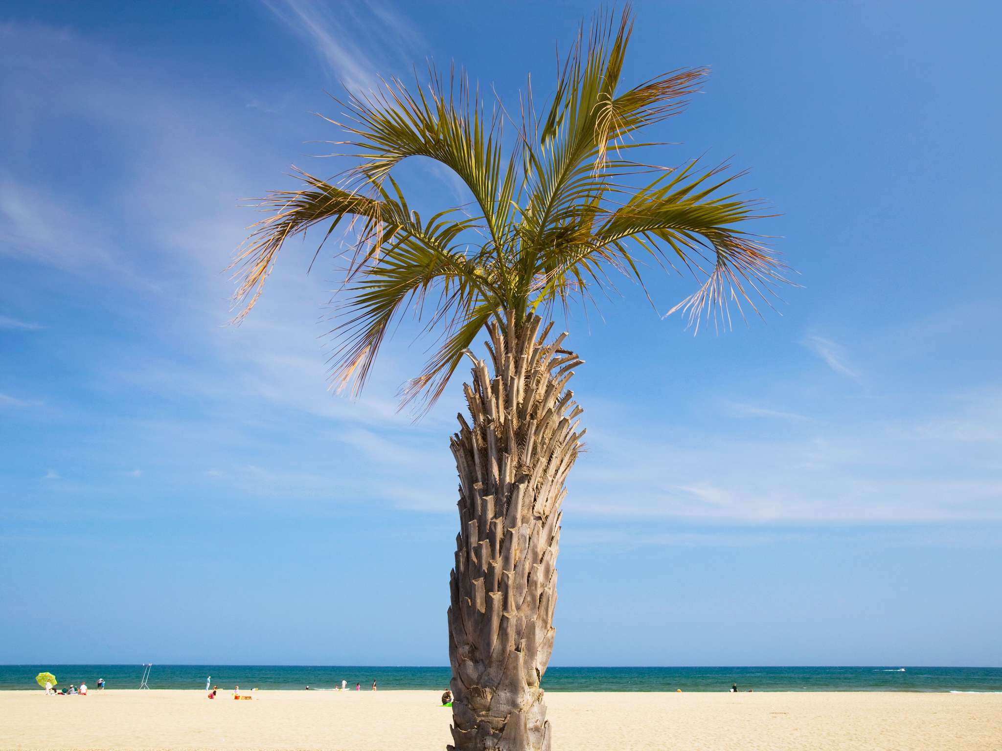 Photo - hotelF1 Perpignan Sud