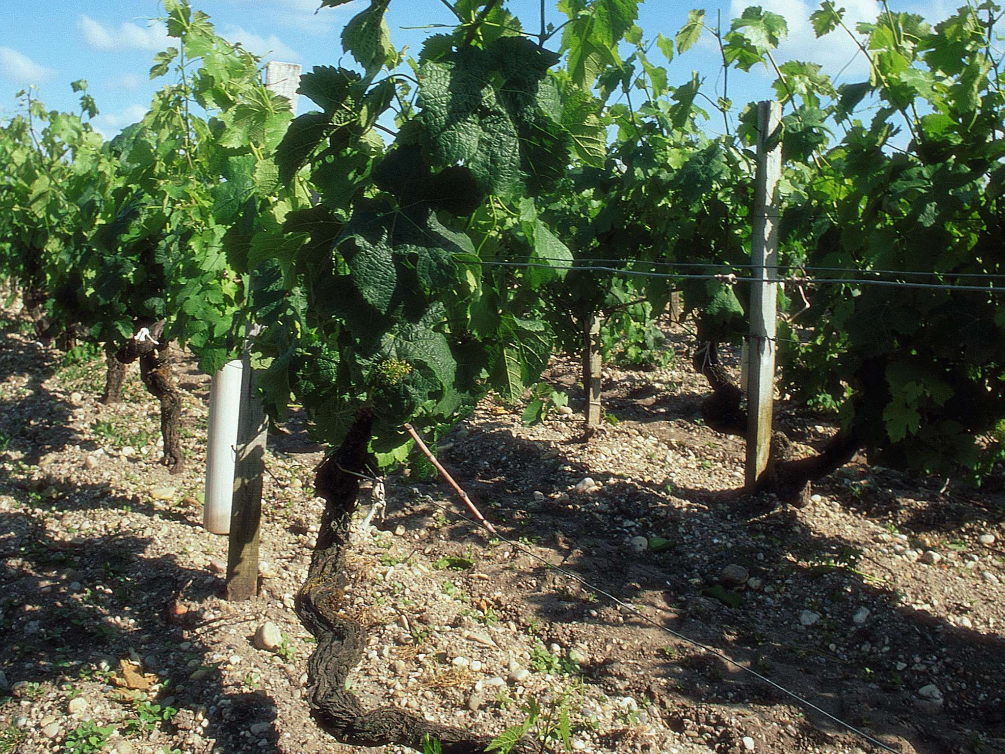 Foto - hotelF1 Bordeaux Sud Villenave d'Ornon