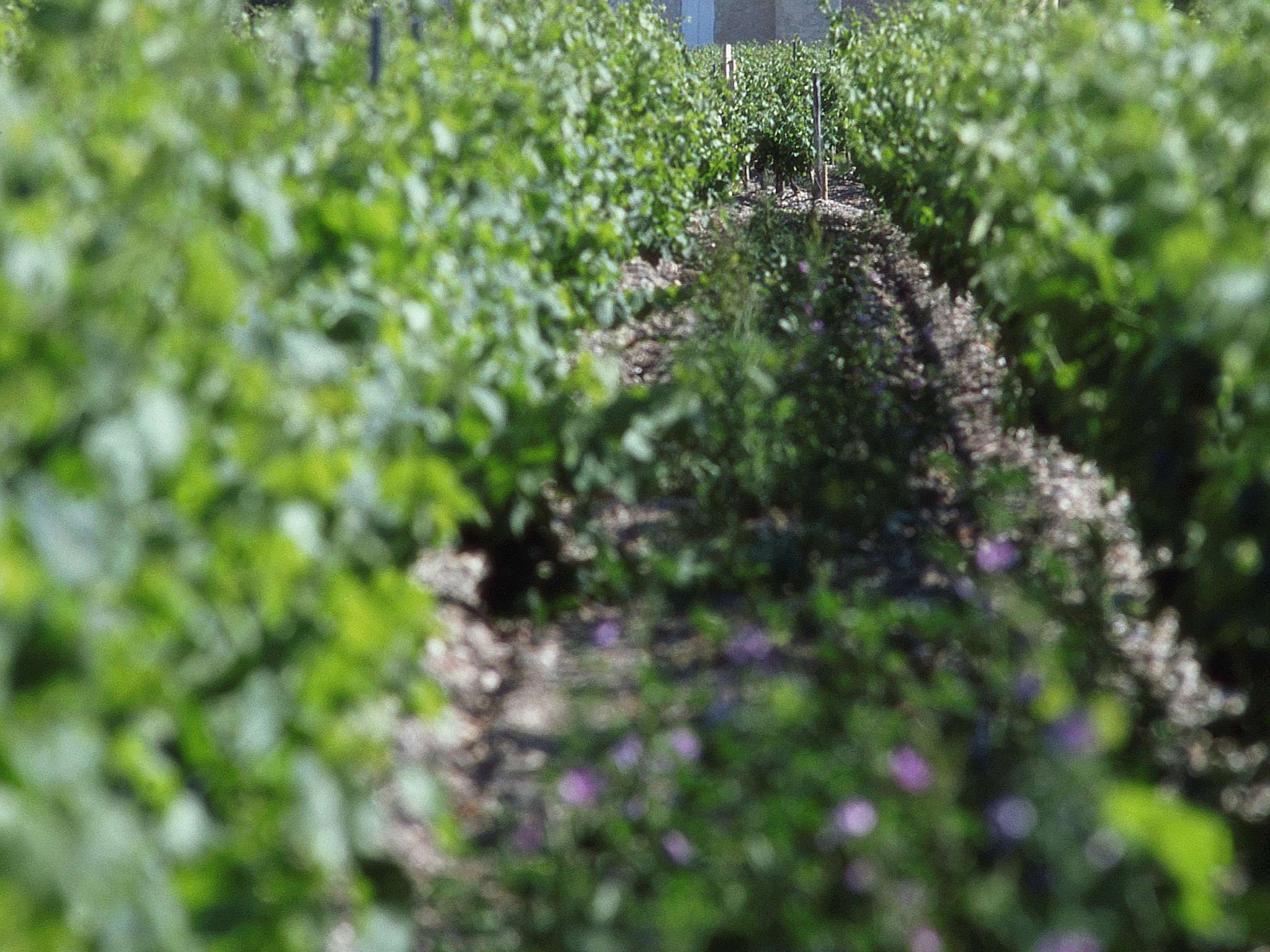 Foto - hotelF1 Bordeaux Sud Villenave d'Ornon