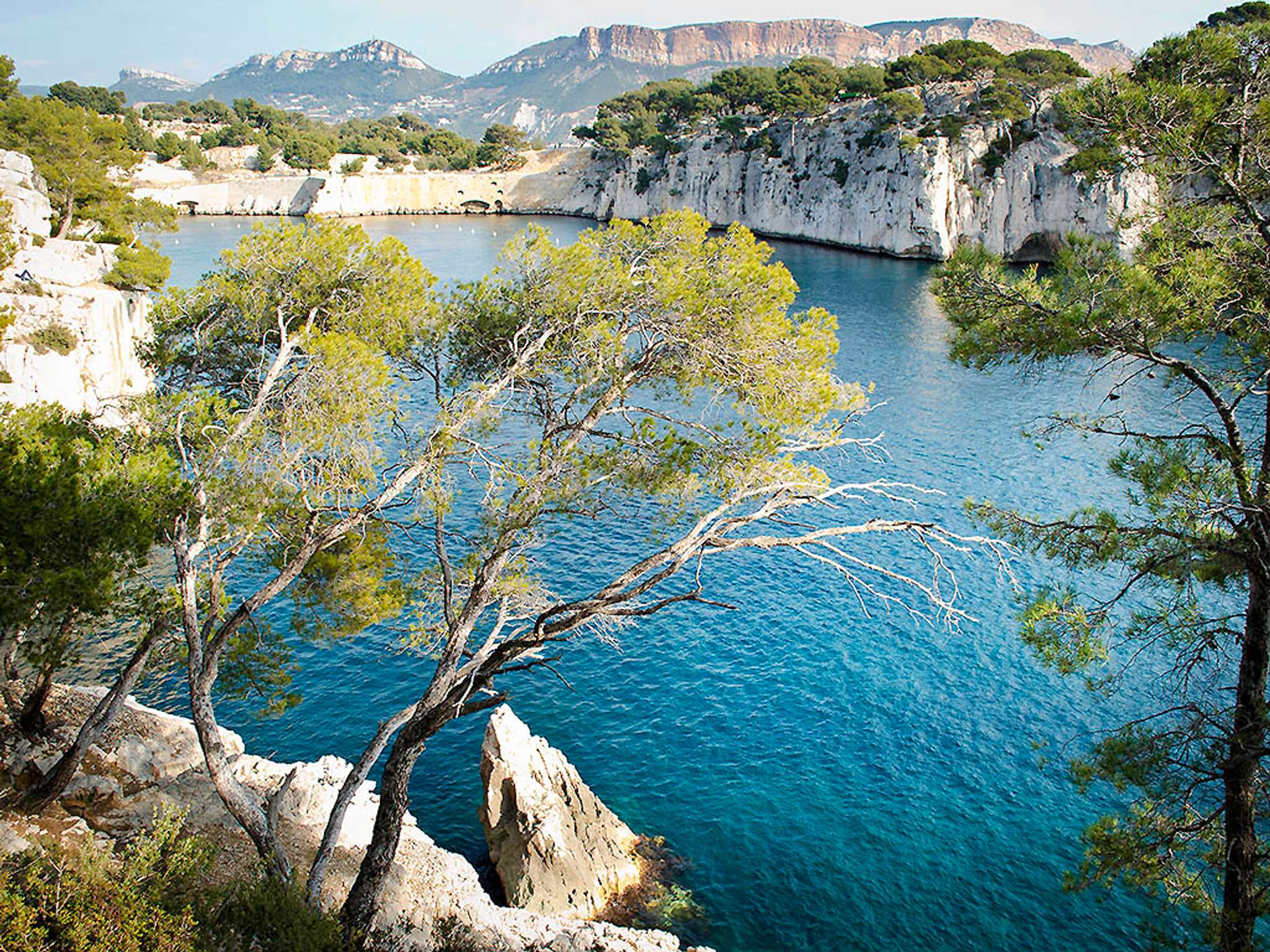 Photo - ibis Marseille Timone