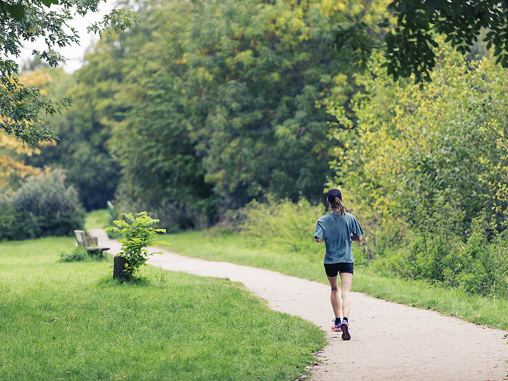 Photo - ibis budget Versailles - Trappes