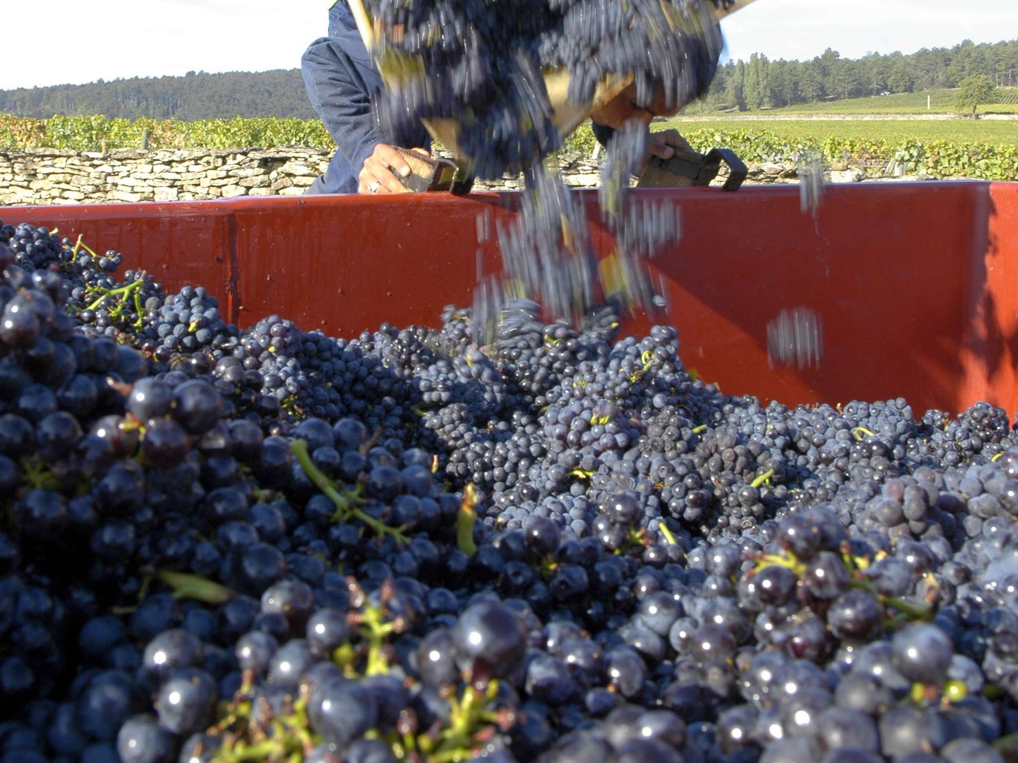 Photo - ibis Budget Beaune