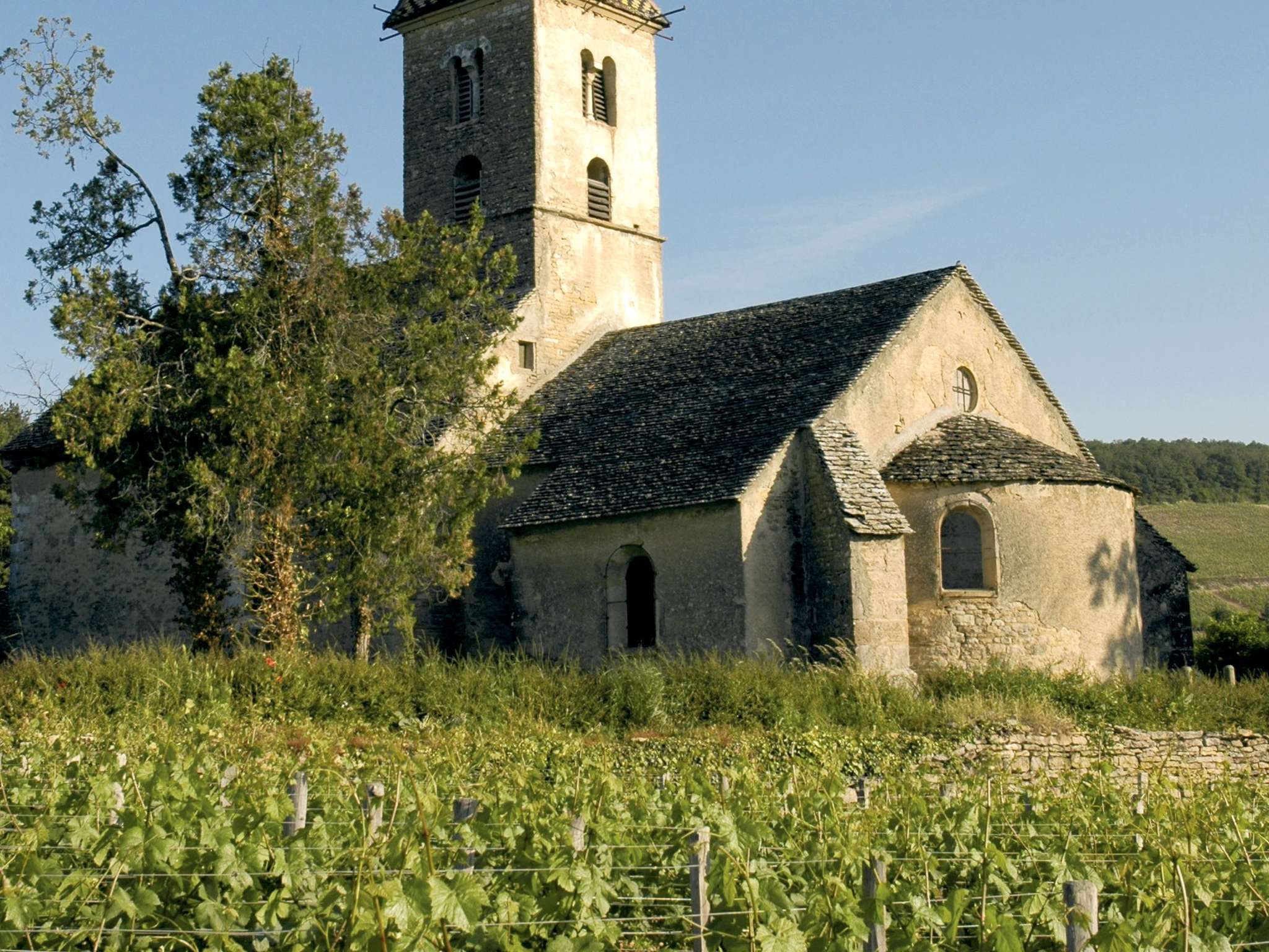 Photo - ibis Budget Beaune