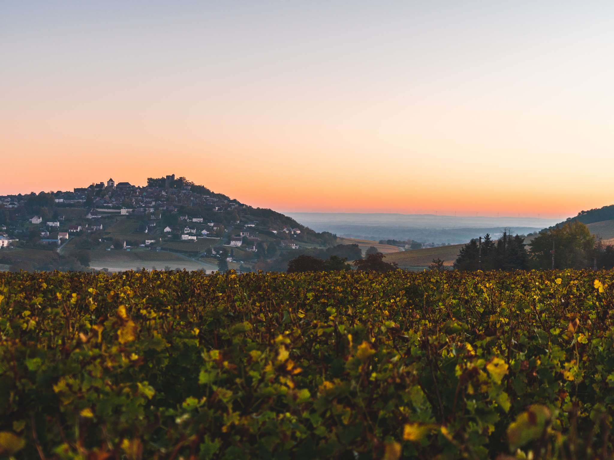 Photo - ibis budget Bourges