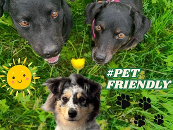 Foto - greet hôtel Annecy Cran-Gevrier by Accor