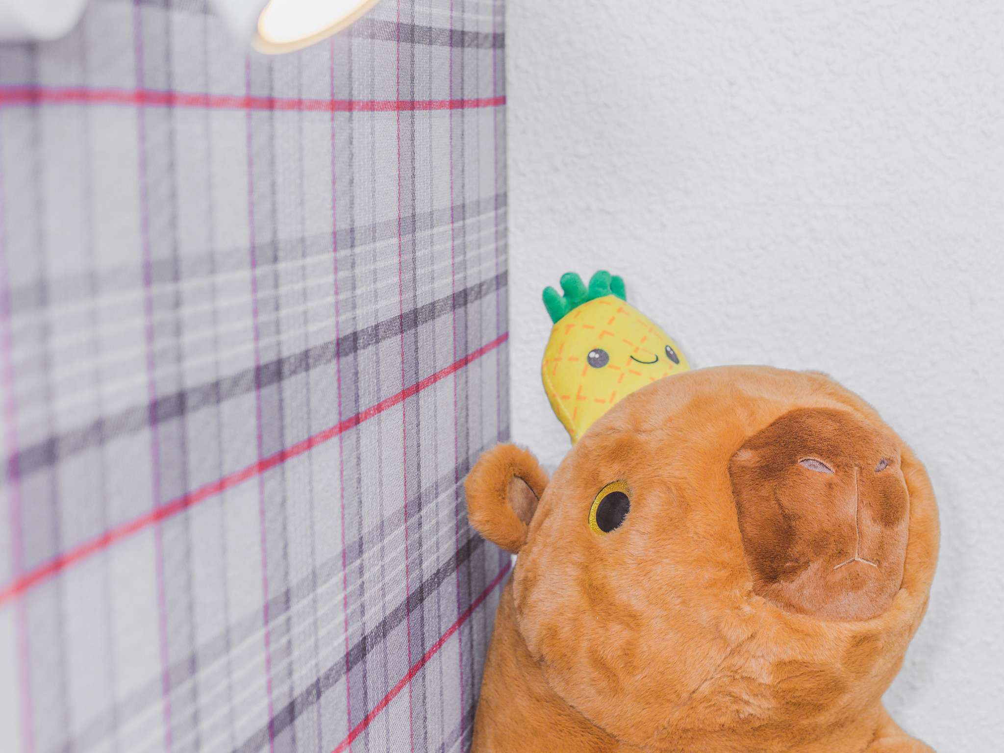 Foto - greet hôtel Annecy Cran-Gevrier by Accor