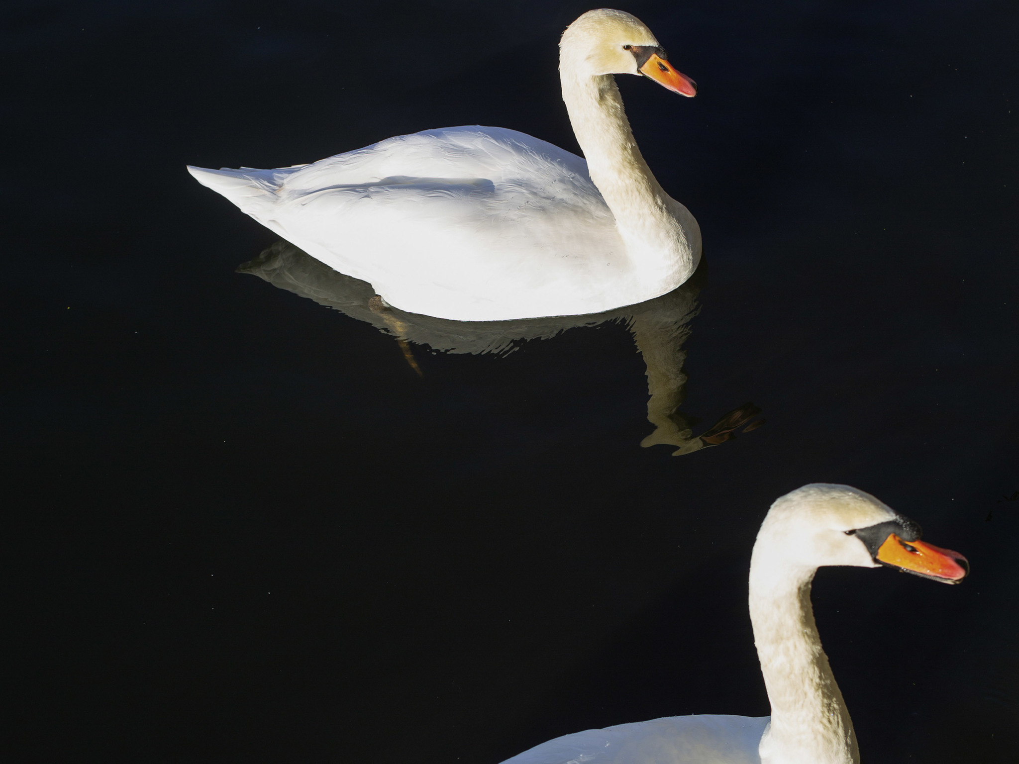 Photo - ibis Paris Porte D'Orleans