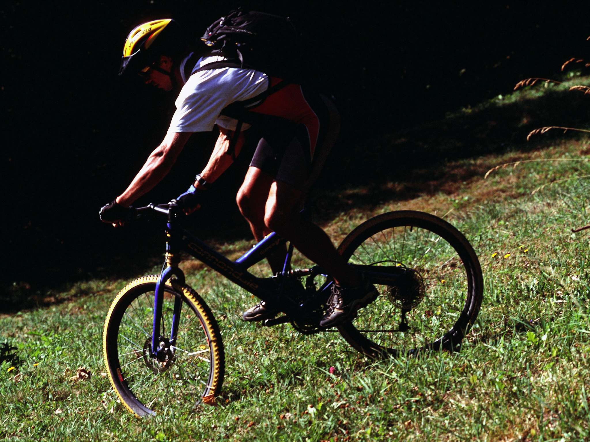 Photo - ibis budget Albertville