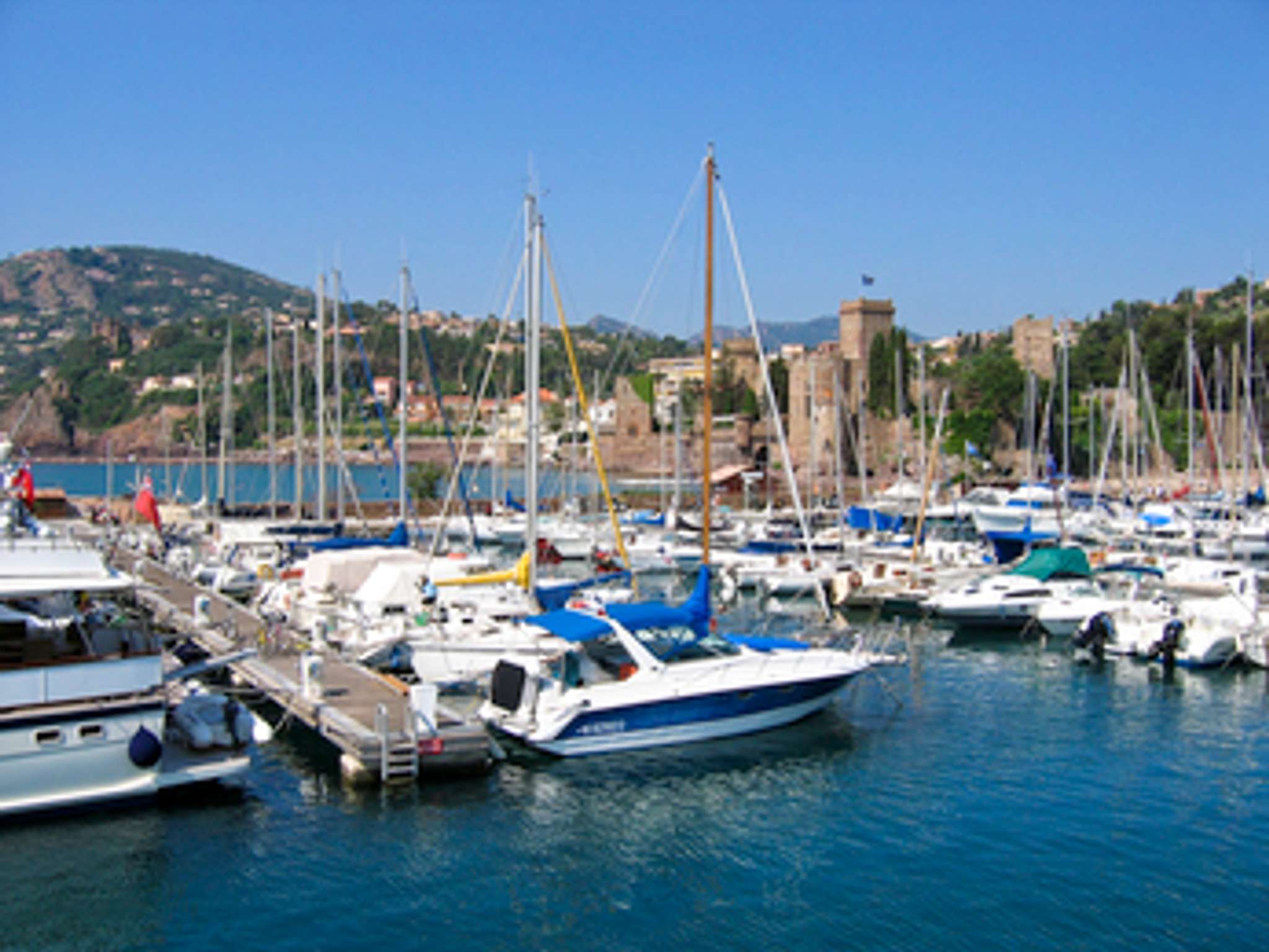 Photo - ibis budget Cannes Mougins