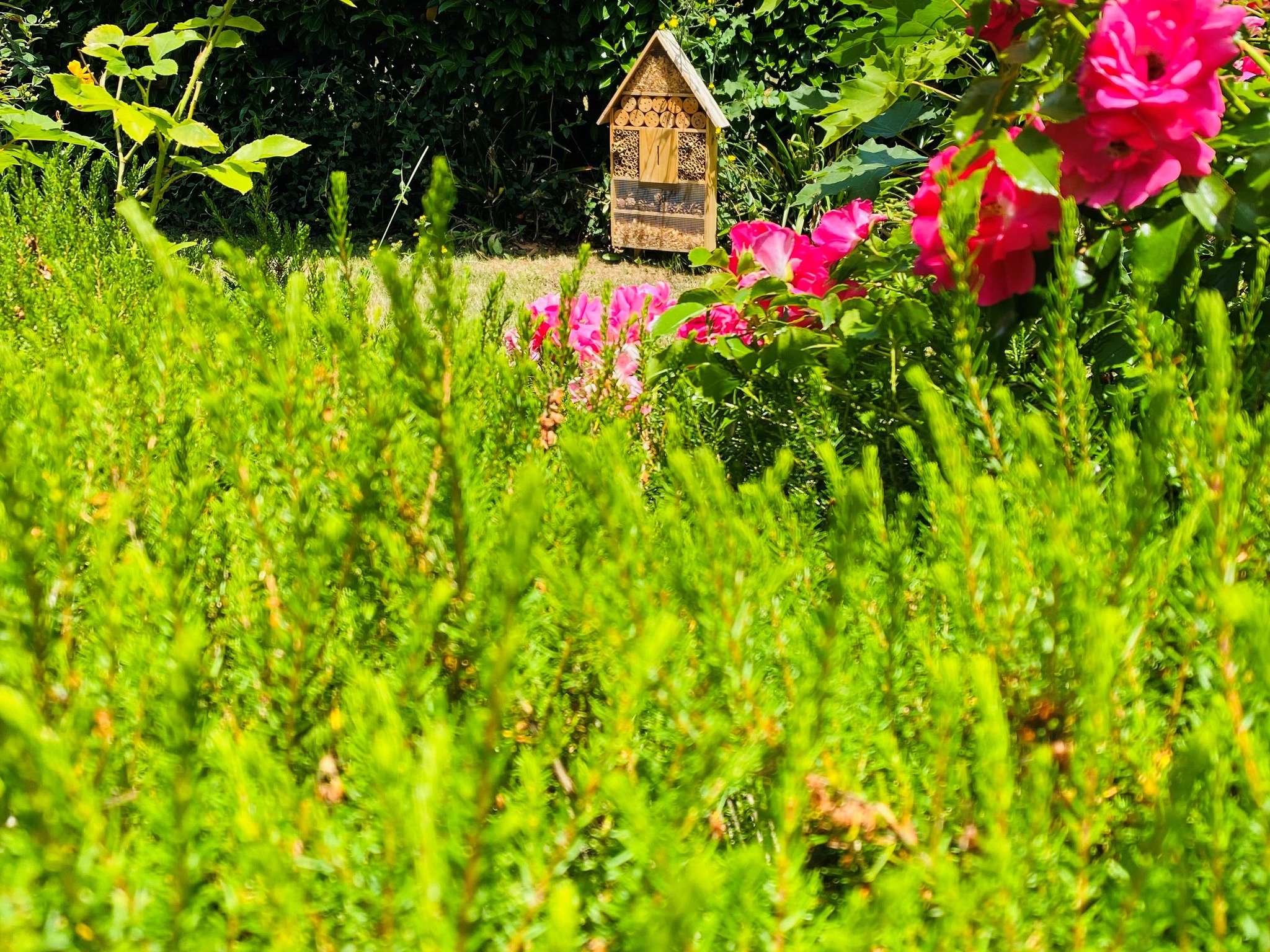 Foto - ibis budget Caen Mondeville