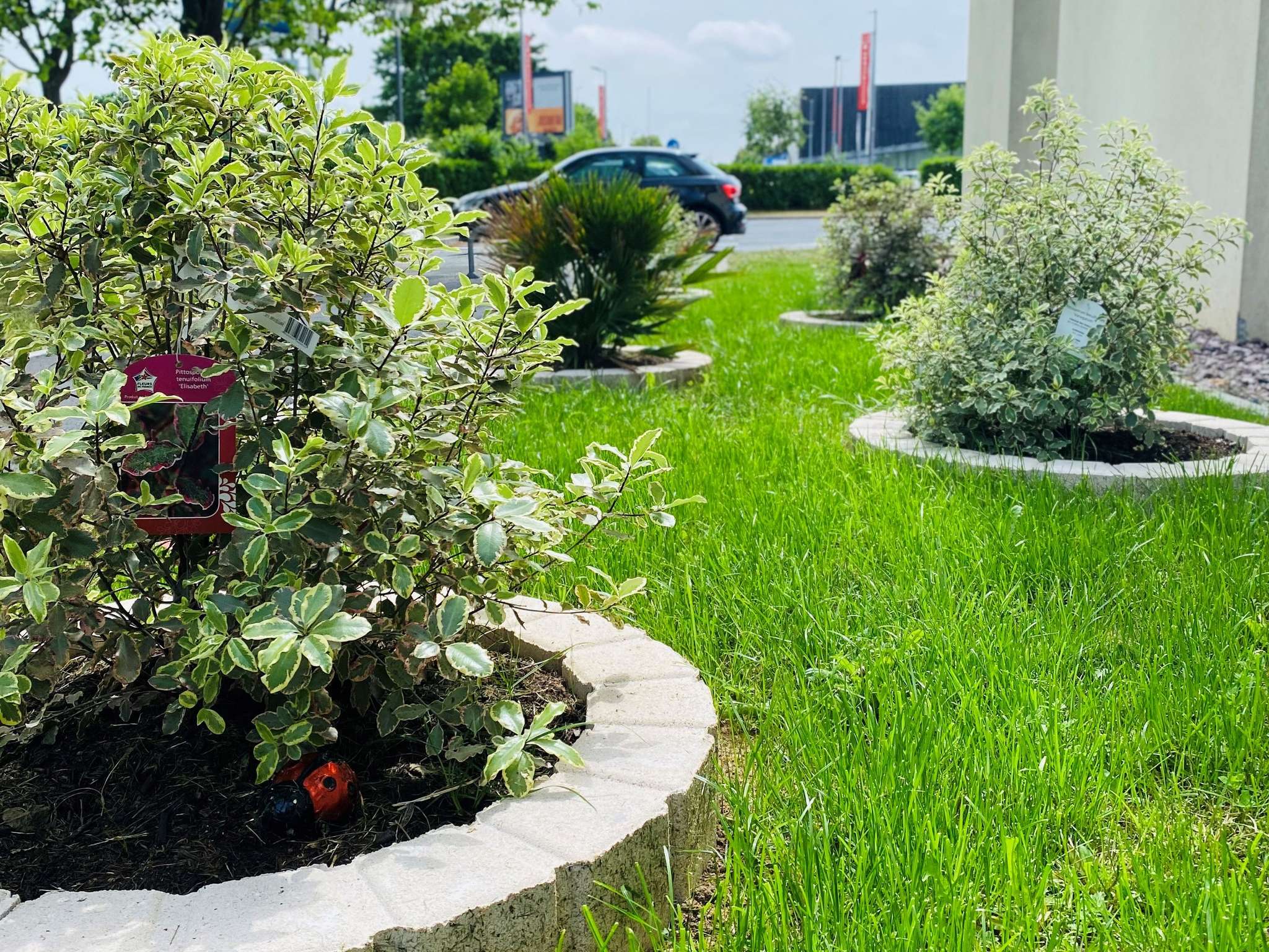 Foto - ibis budget Caen Mondeville