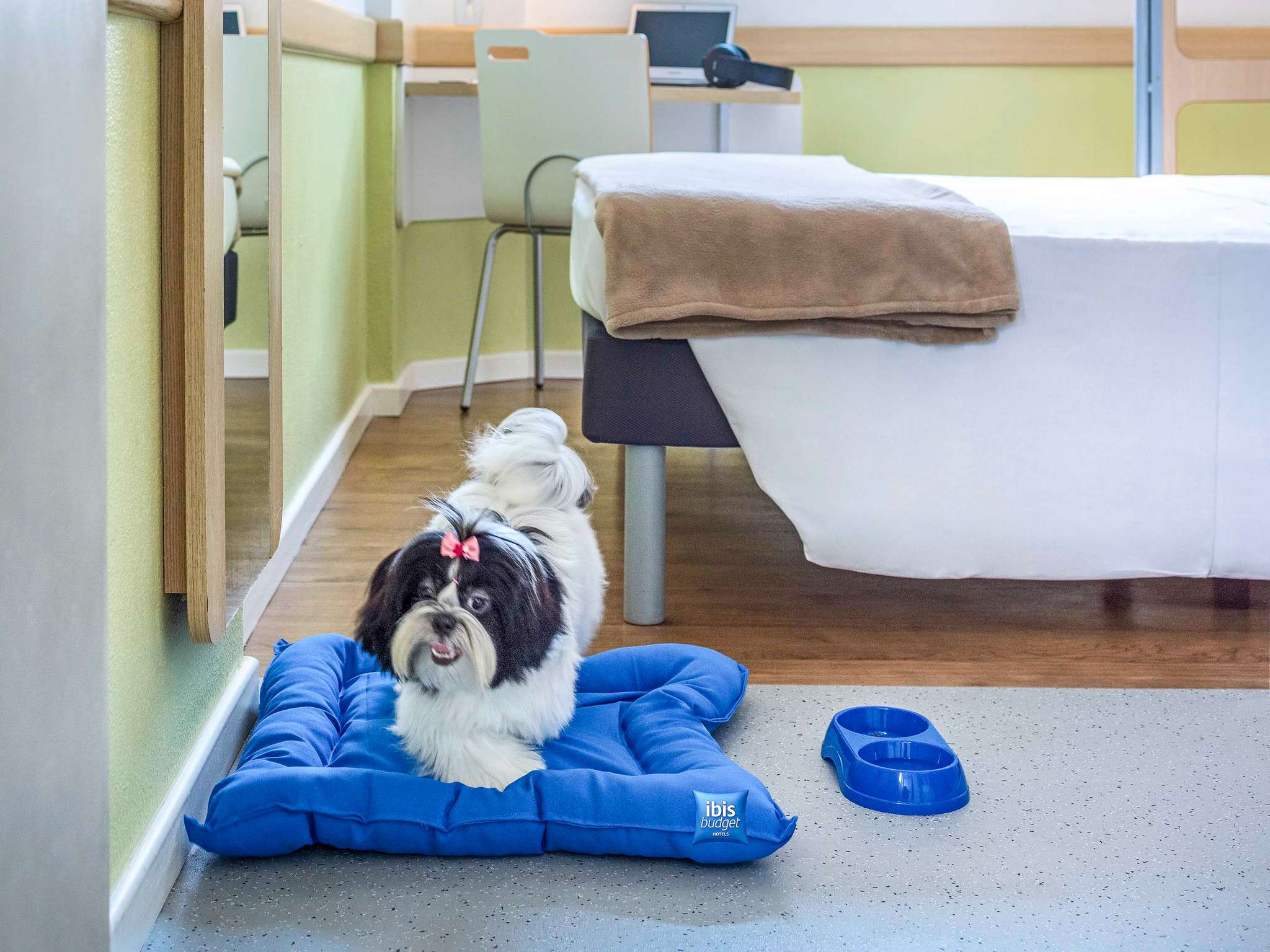 Foto - ibis budget Tours Nord