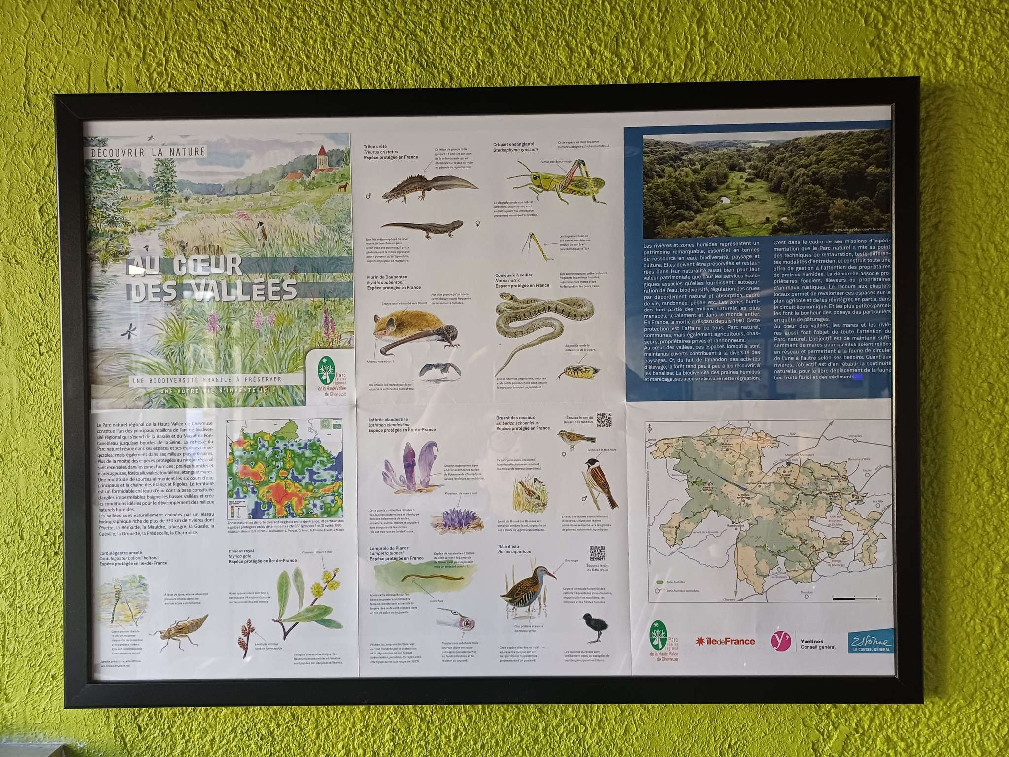 Foto - ibis budget Antony Massy rénové 2024