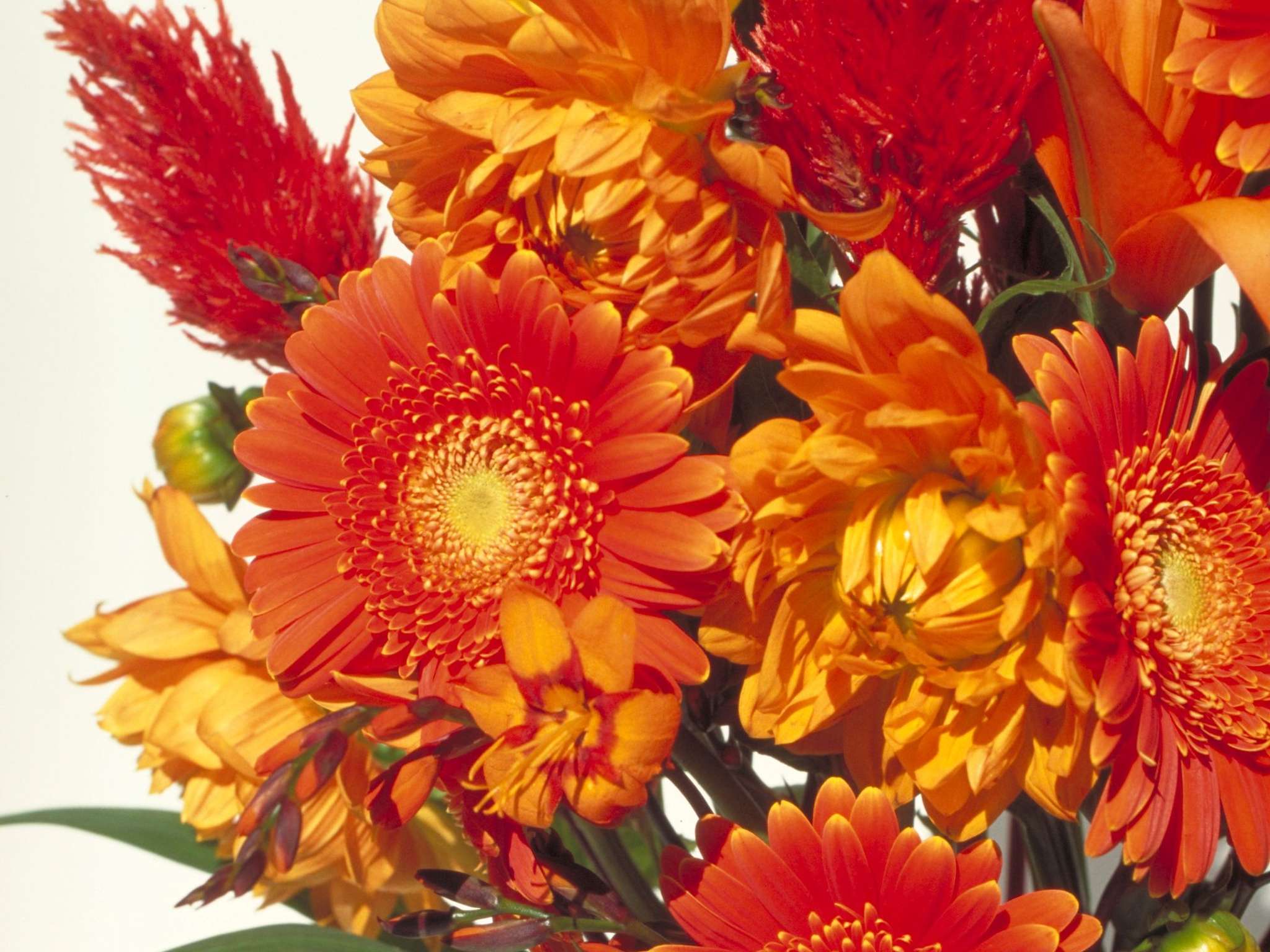 Photo - Novotel Zurich City West