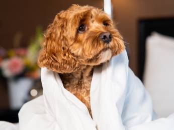 Photo - Sofitel Philadelphia at Rittenhouse Square