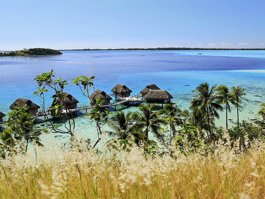 Sofitel Bora Bora Private Island (actualmente cerrado) - Image 3