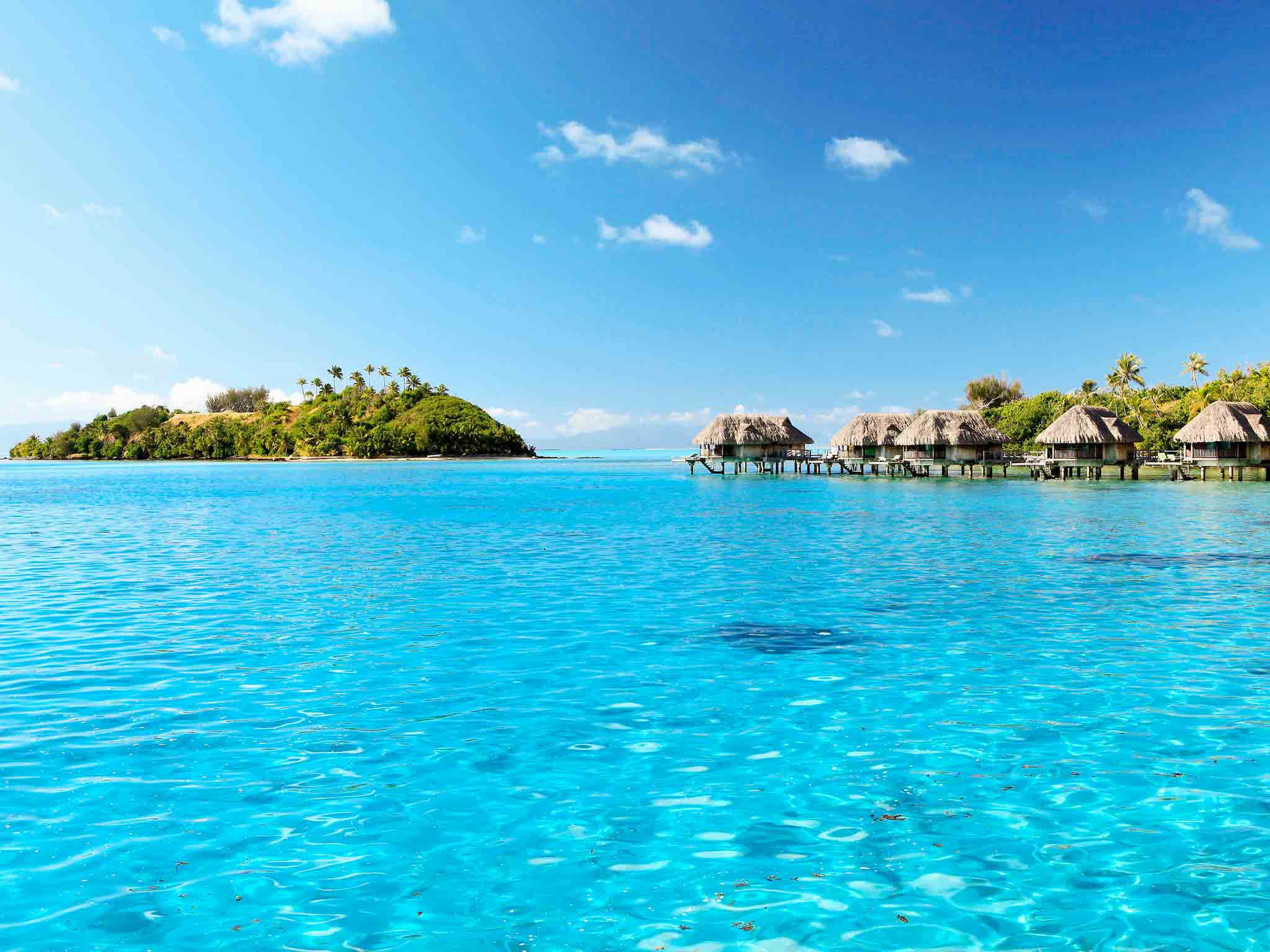 Sofitel Bora Bora Private Island Hotel | AccorHotels.com Sofitel Bora Bora Private Island Hotel | AccorHotels.com