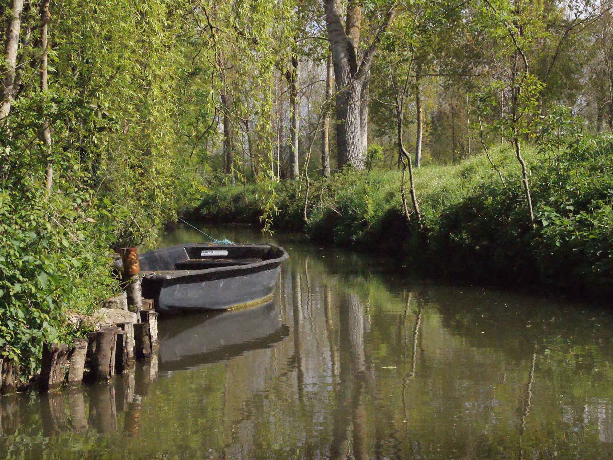 Photo - Mercure Poitiers Site du Futuroscope
