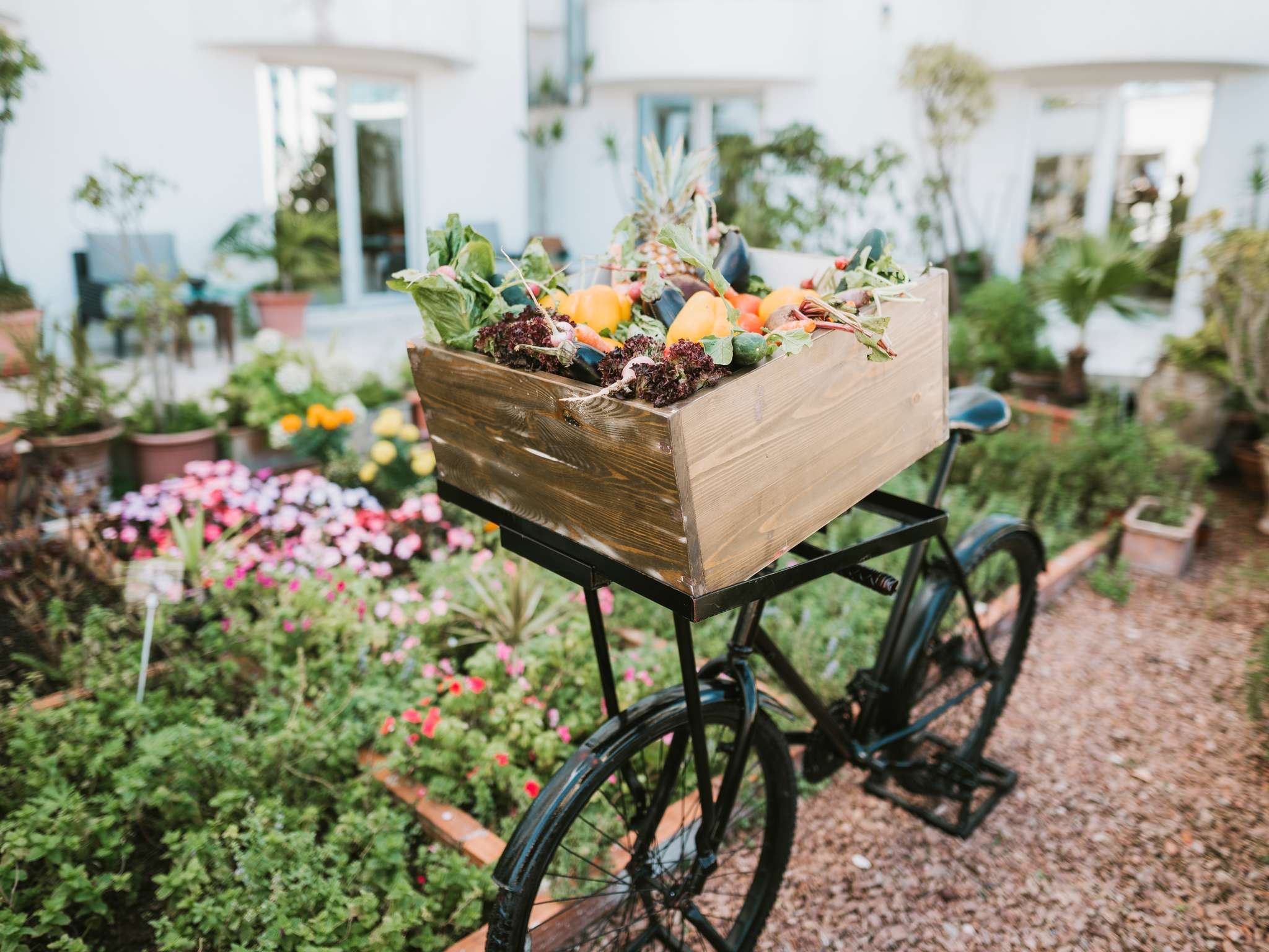 Photo - Le Diwan Hotel Rabat - MGallery Collection