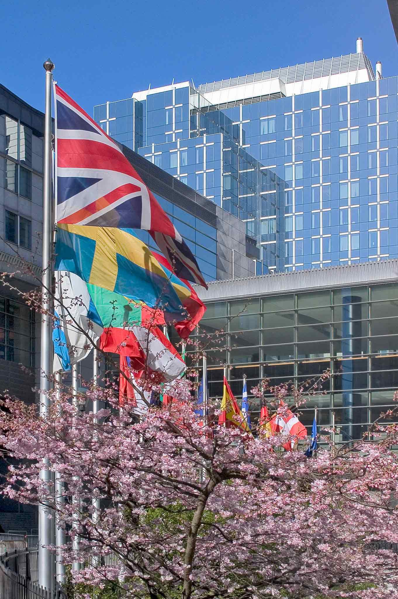 Photo - ibis Hotel Brussels Expo Atomium