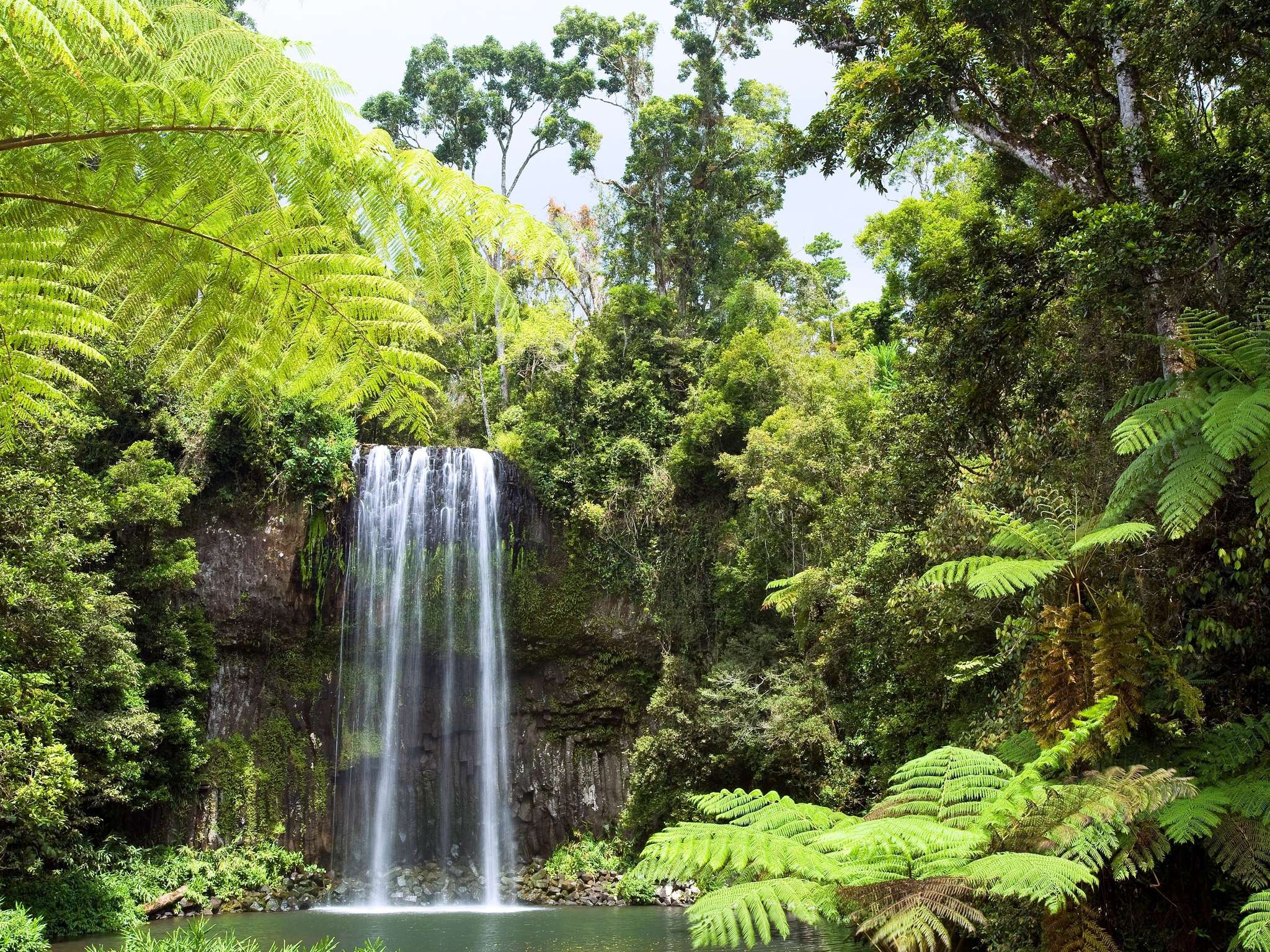 Foto - Pullman Reef Hotel Casino